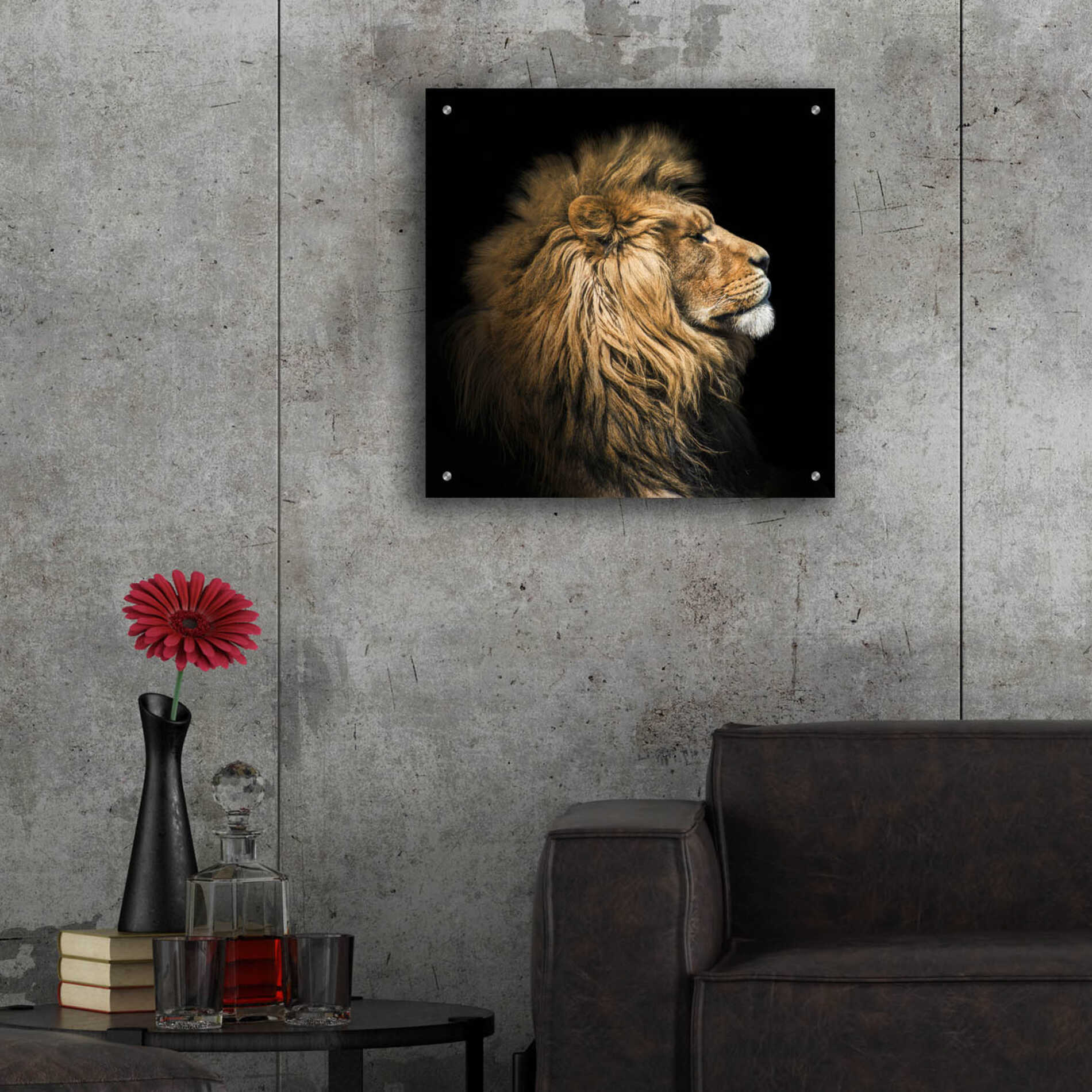 Epic Art 'The King Of The Jungle' by Epic Portfolio Acrylic Glass Wall Art,24x24