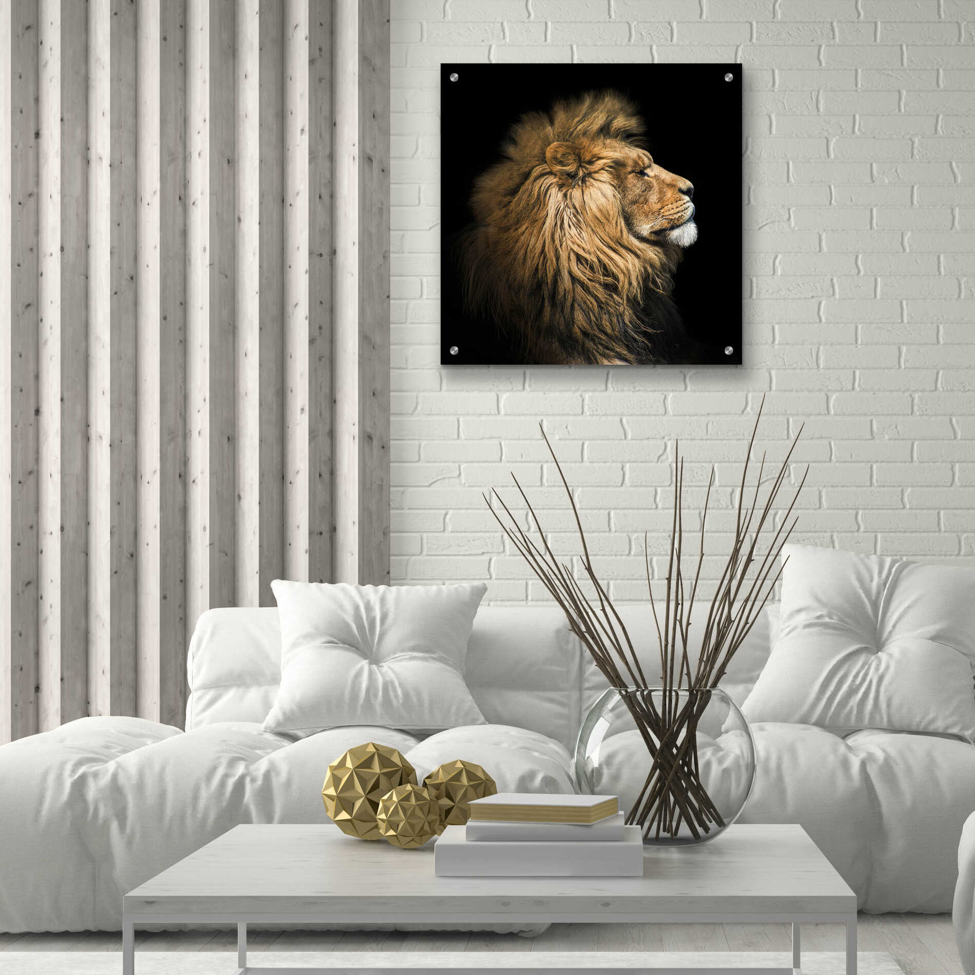 Epic Art 'The King Of The Jungle' by Epic Portfolio Acrylic Glass Wall Art,24x24