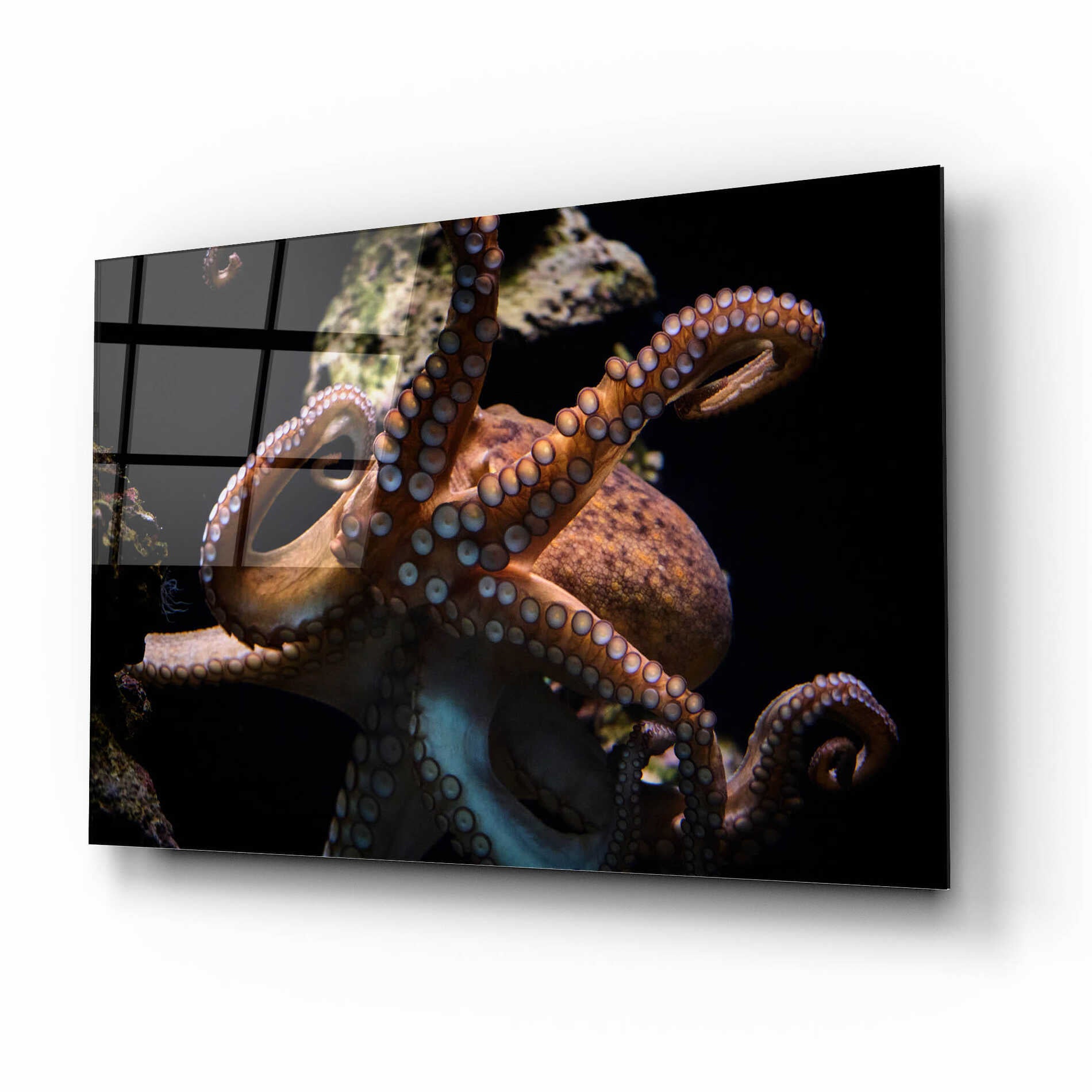 Epic Art 'The Kraken' by Epic Portfolio Acrylic Glass Wall Art,16x12