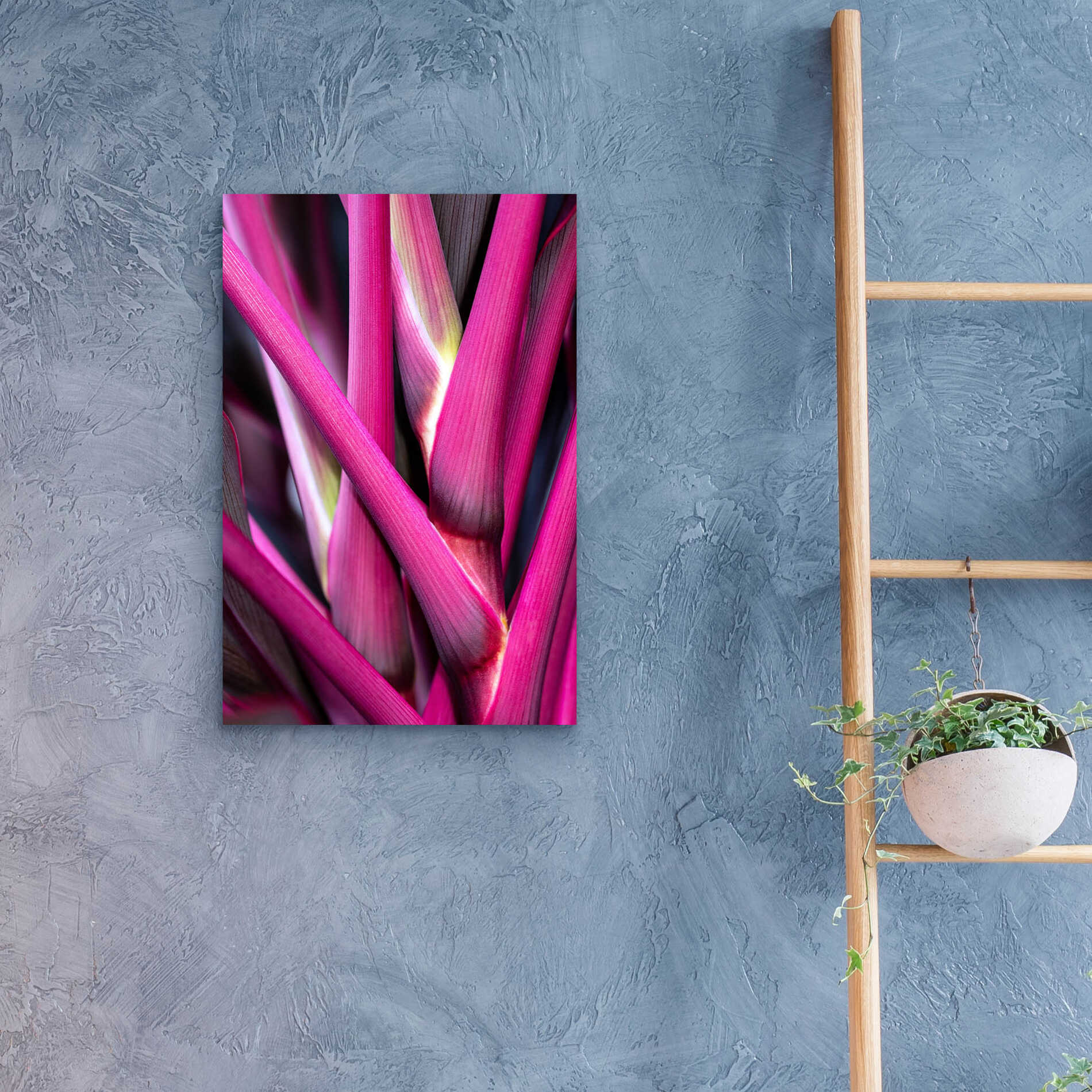 Epic Art 'The Pink Guardsman' by Epic Portfolio Acrylic Glass Wall Art,16x24