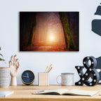 Epic Art 'The Unknown Path' by Epic Portfolio Acrylic Glass Wall Art,16x12