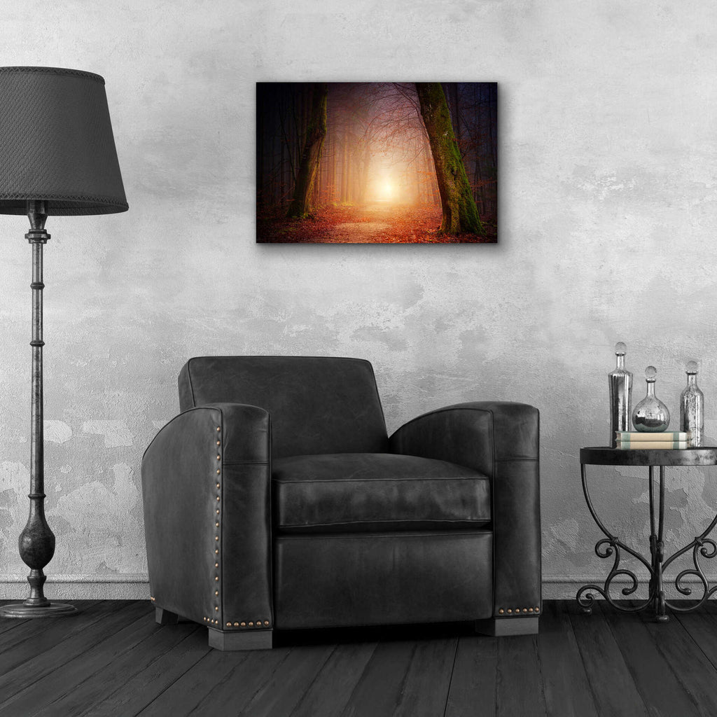 Epic Art 'The Unknown Path' by Epic Portfolio Acrylic Glass Wall Art,24x16