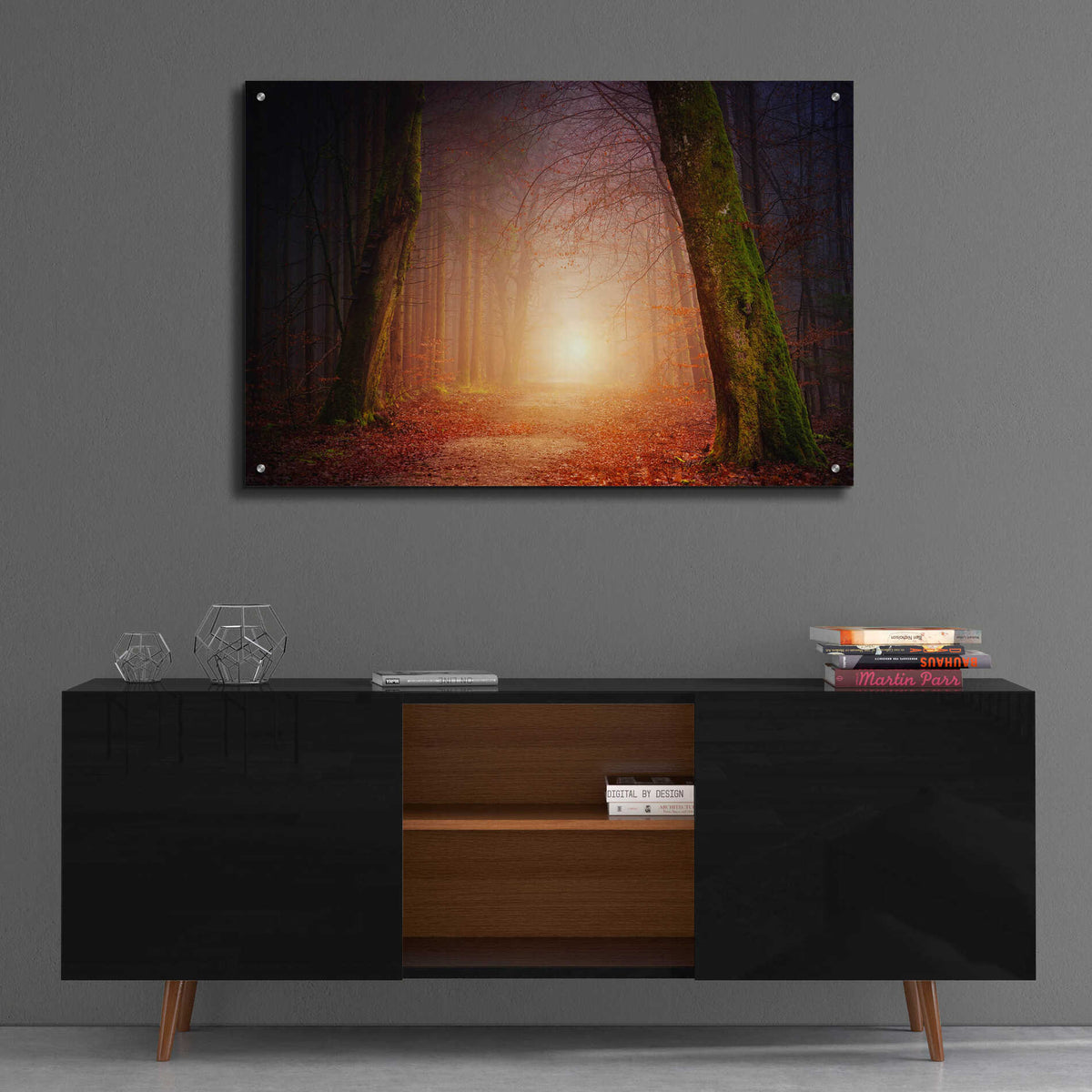 Epic Art 'The Unknown Path' by Epic Portfolio Acrylic Glass Wall Art,36x24