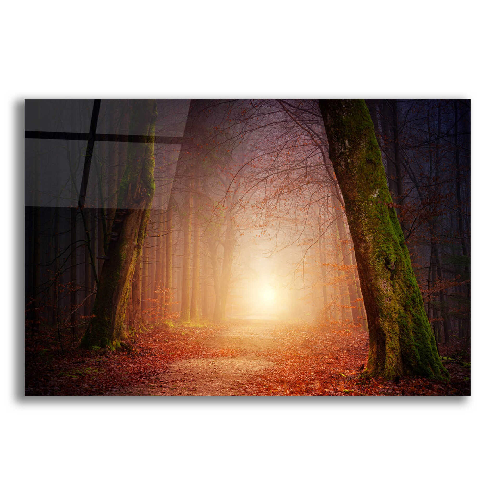 Epic Art 'The Unknown Path' by Epic Portfolio Acrylic Glass Wall Art