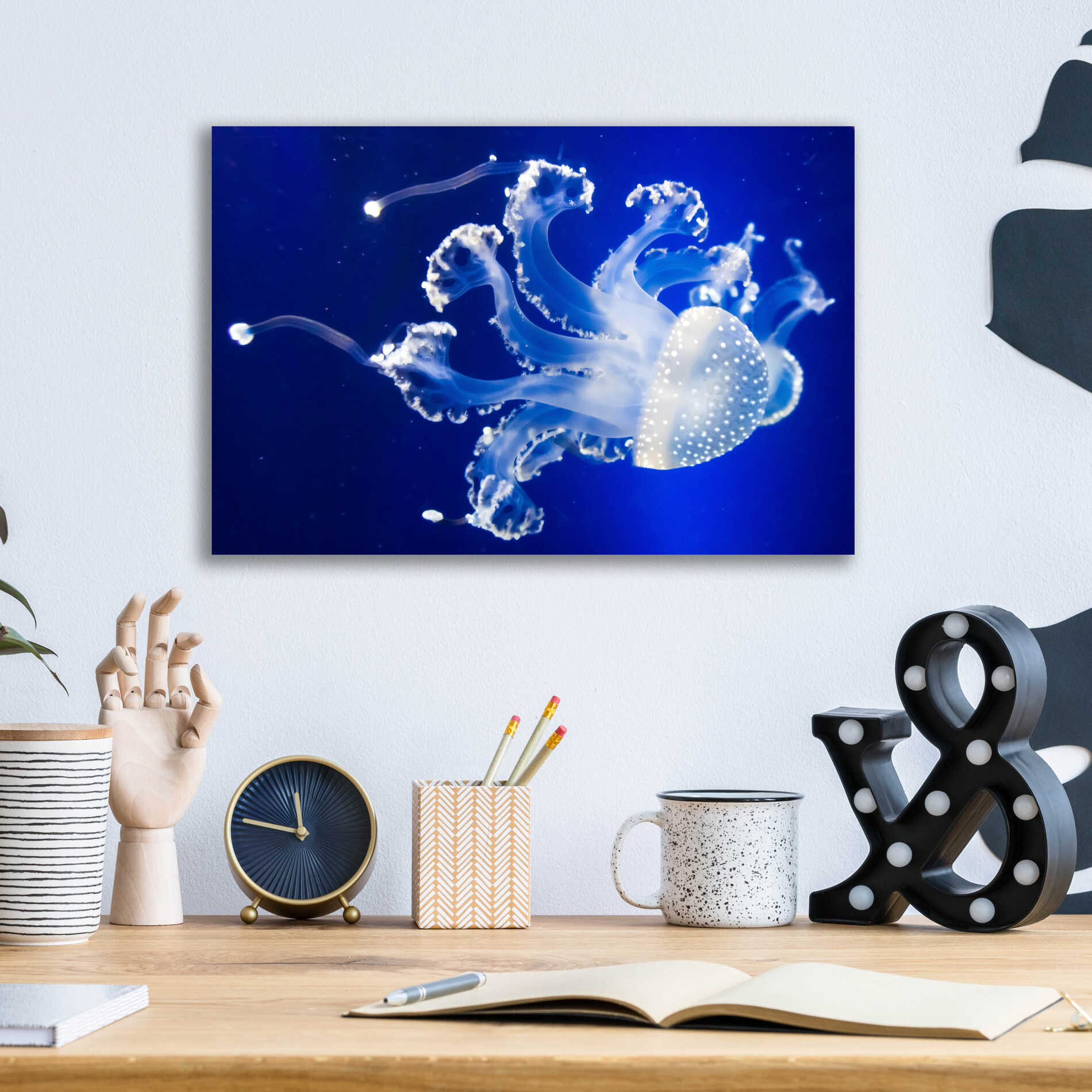 Epic Art 'Translucent Jellyfish' by Epic Portfolio Acrylic Glass Wall Art,16x12