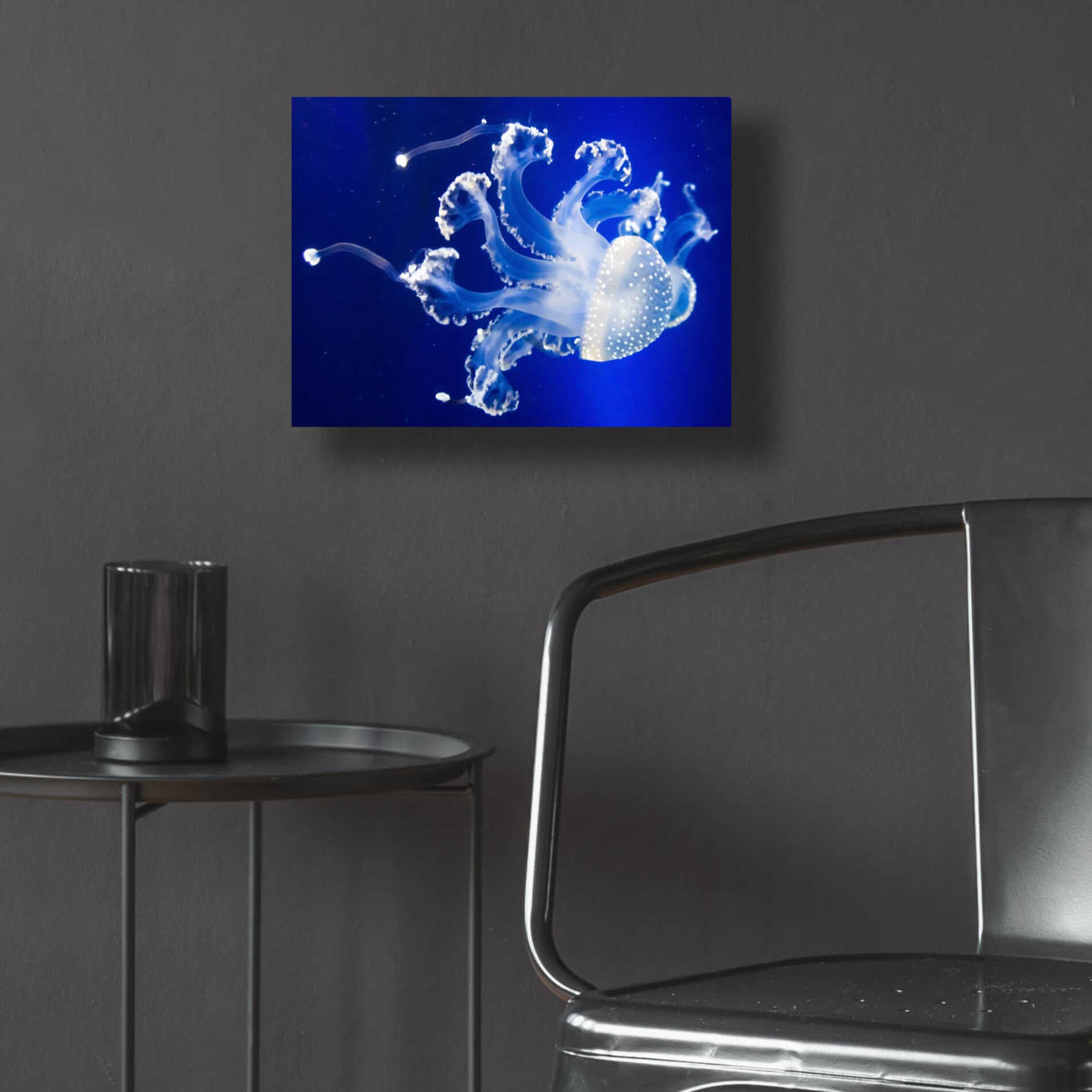Epic Art 'Translucent Jellyfish' by Epic Portfolio Acrylic Glass Wall Art,16x12