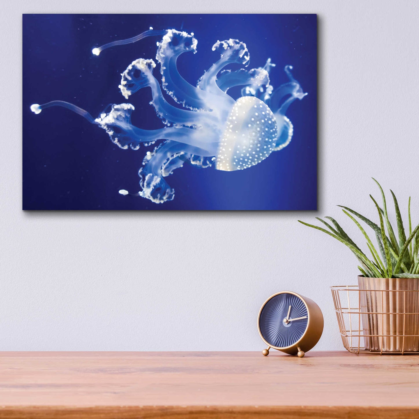 Epic Art 'Translucent Jellyfish' by Epic Portfolio Acrylic Glass Wall Art,16x12