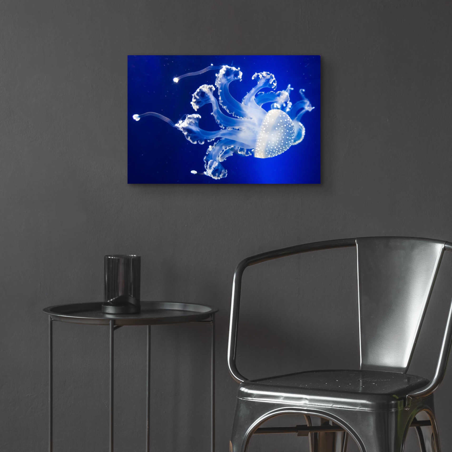 Epic Art 'Translucent Jellyfish' by Epic Portfolio Acrylic Glass Wall Art,24x16