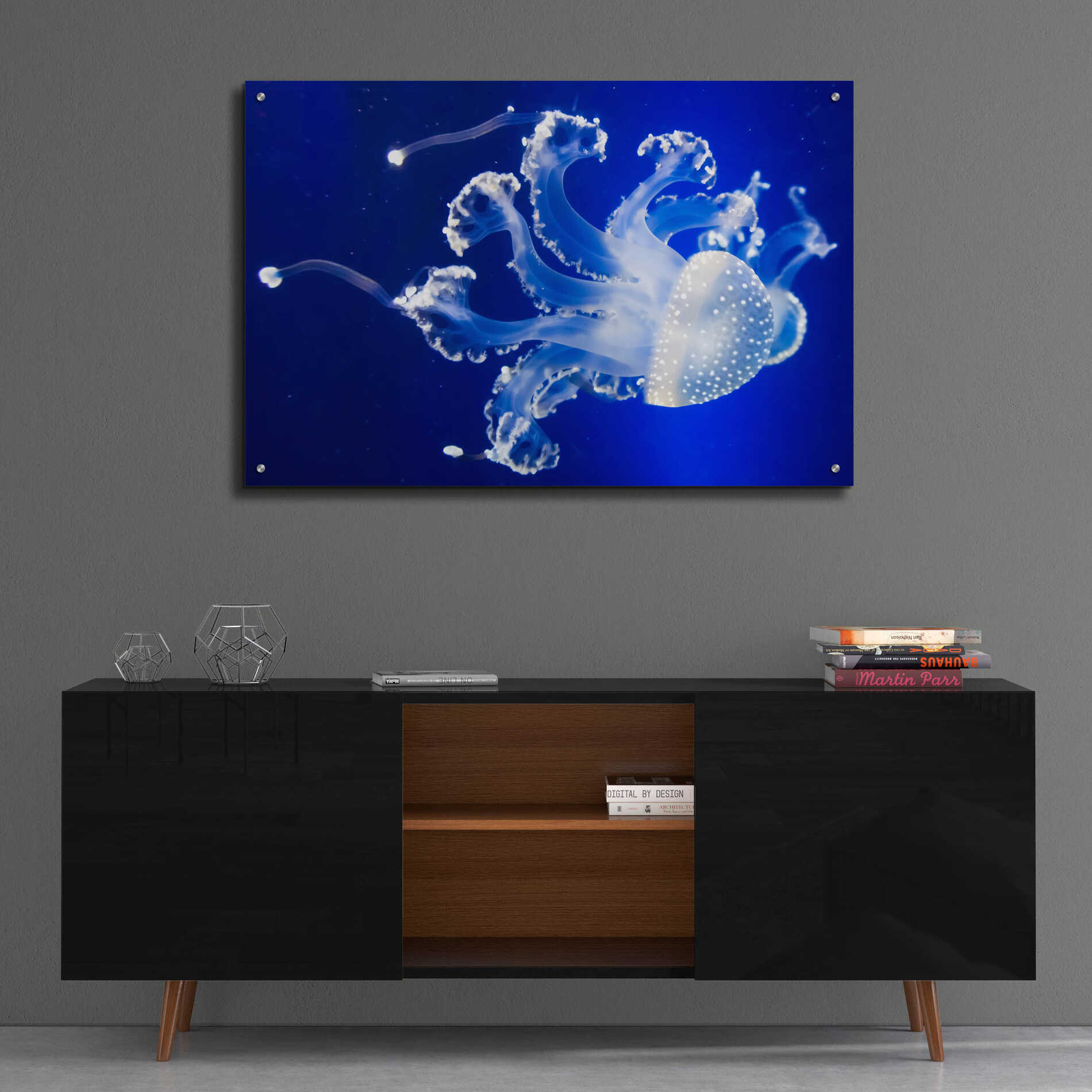 Epic Art 'Translucent Jellyfish' by Epic Portfolio Acrylic Glass Wall Art,36x24