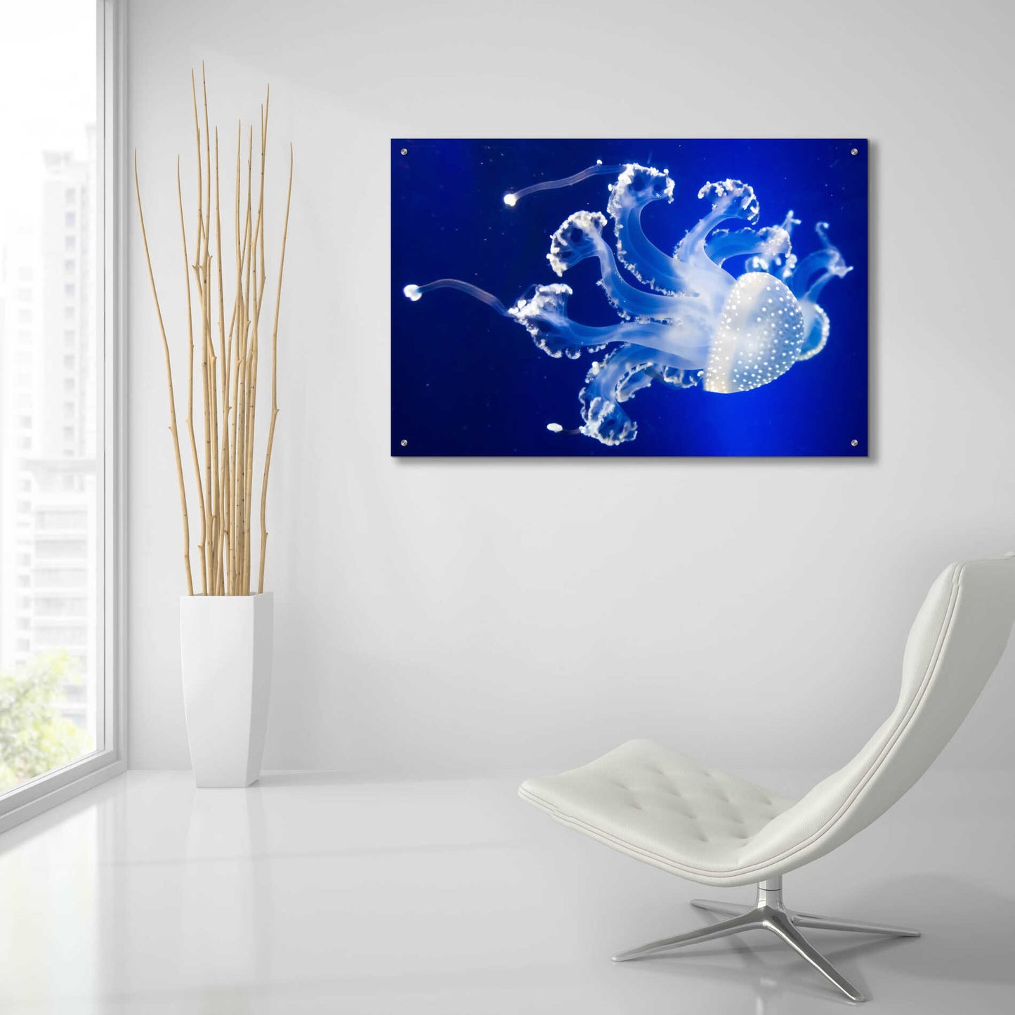 Epic Art 'Translucent Jellyfish' by Epic Portfolio Acrylic Glass Wall Art,36x24