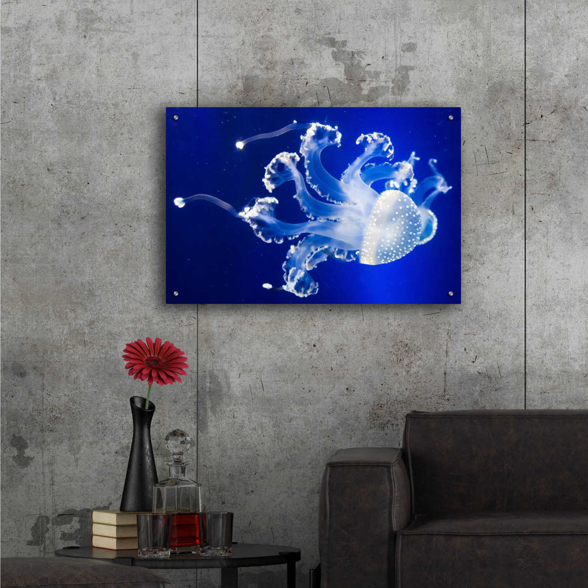 Epic Art 'Translucent Jellyfish' by Epic Portfolio Acrylic Glass Wall Art,36x24