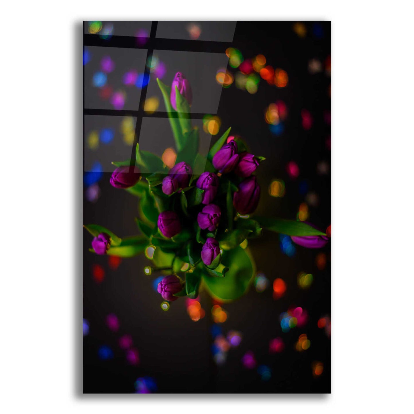 Epic Art 'Tulip Confetti' by Epic Portfolio Acrylic Glass Wall Art,16x24