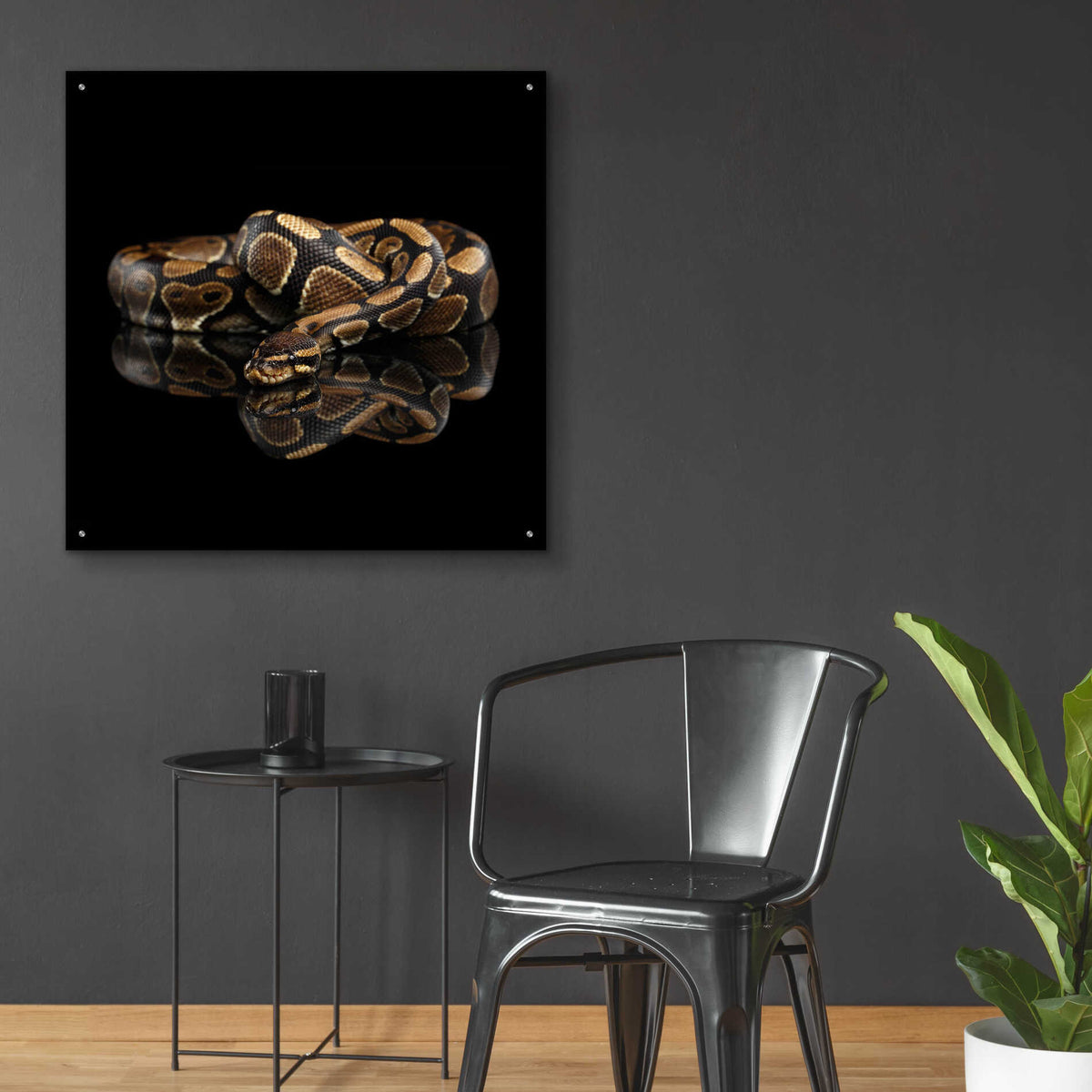 Epic Art 'Twisted' by Epic Portfolio Acrylic Glass Wall Art,36x36