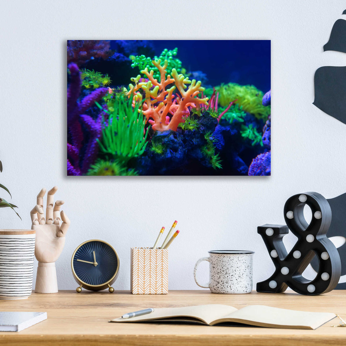 Epic Art 'Underwater Amazons' by Epic Portfolio Acrylic Glass Wall Art,16x12
