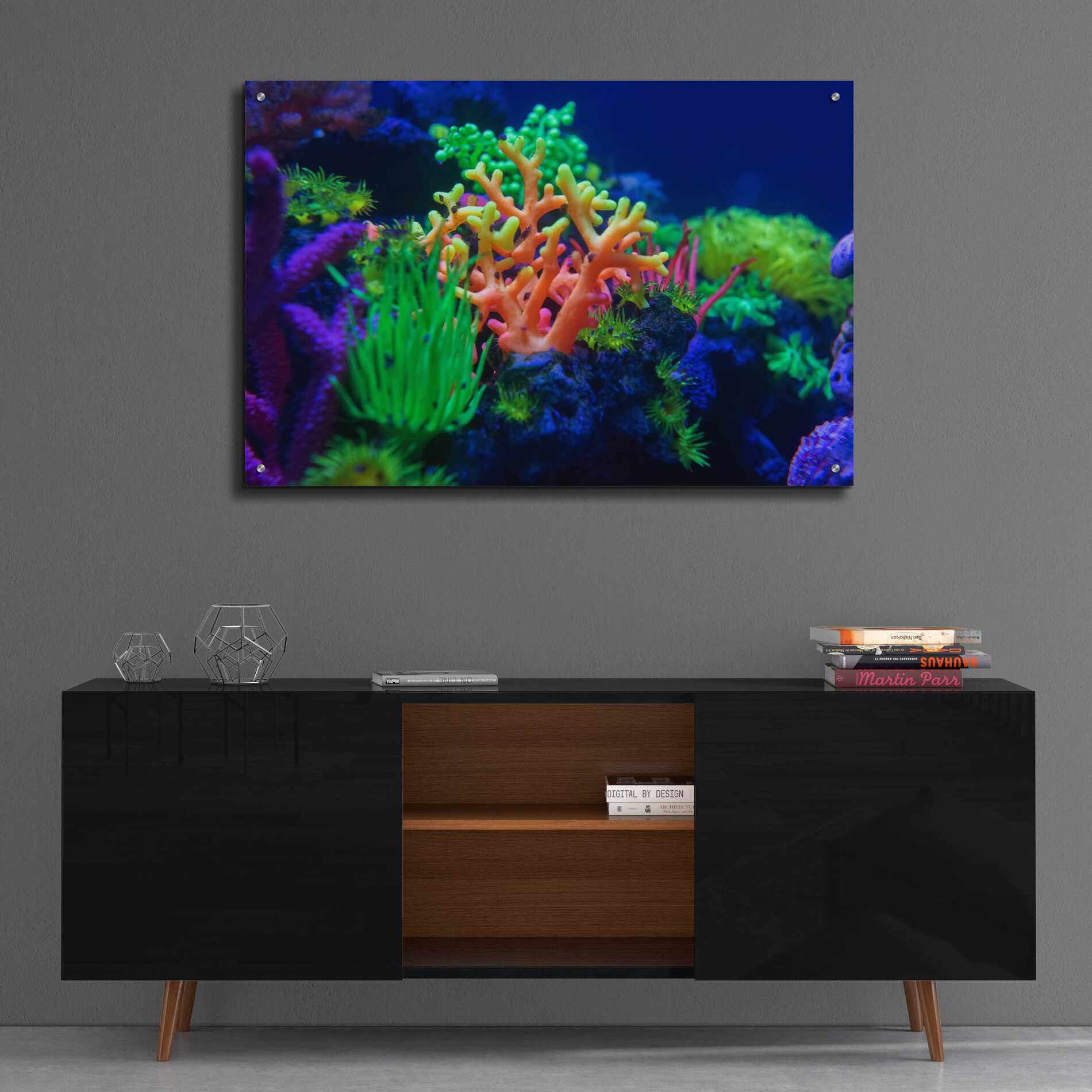 Epic Art 'Underwater Amazons' by Epic Portfolio Acrylic Glass Wall Art,36x24
