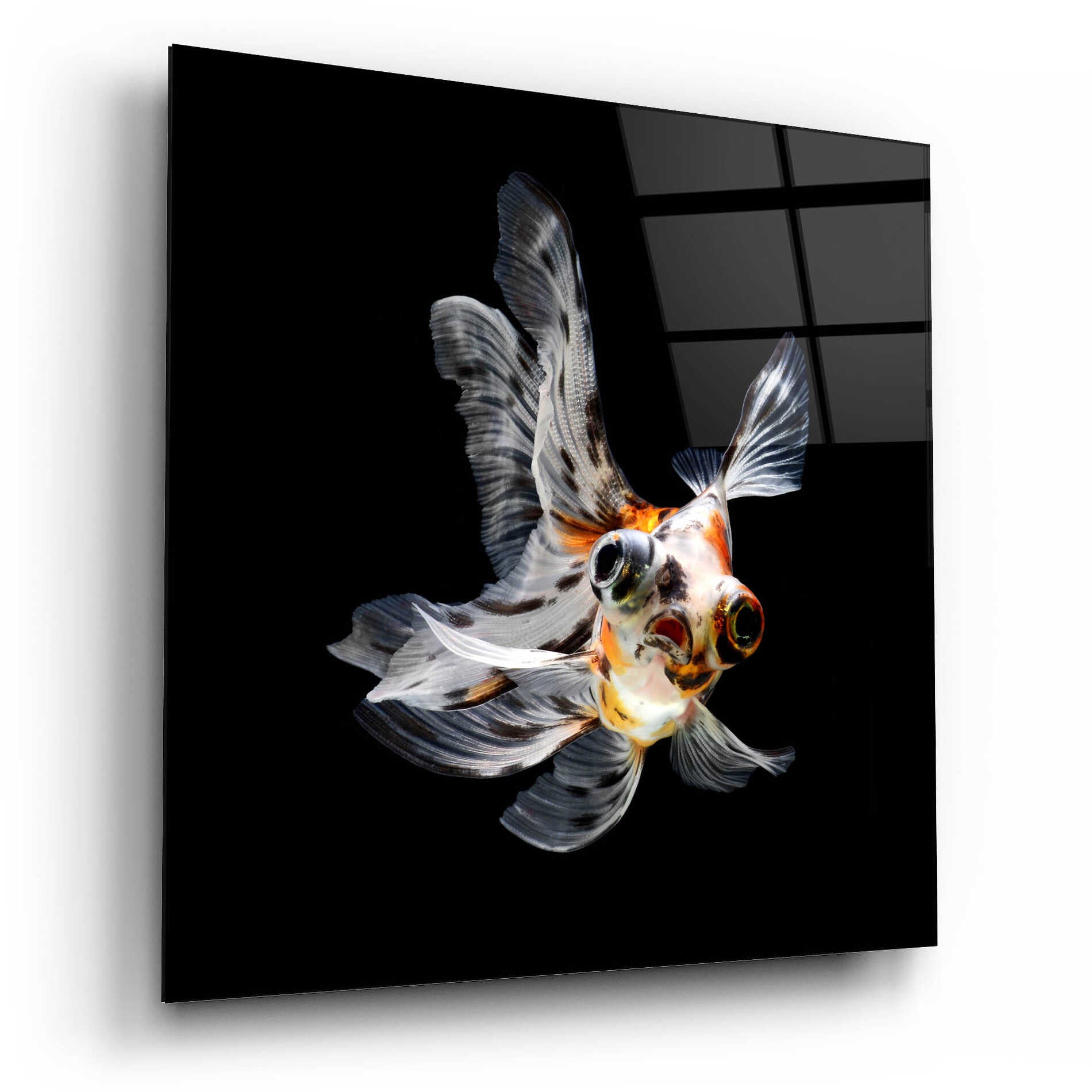 Epic Art 'You Did What' by Epic Portfolio Acrylic Glass Wall Art,12x12