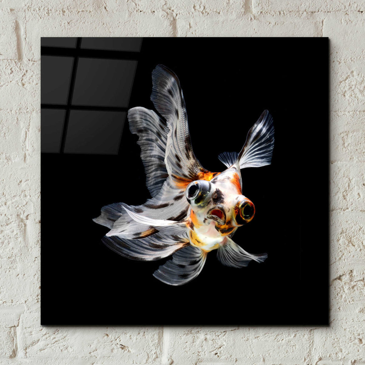 Epic Art 'You Did What' by Epic Portfolio Acrylic Glass Wall Art,12x12
