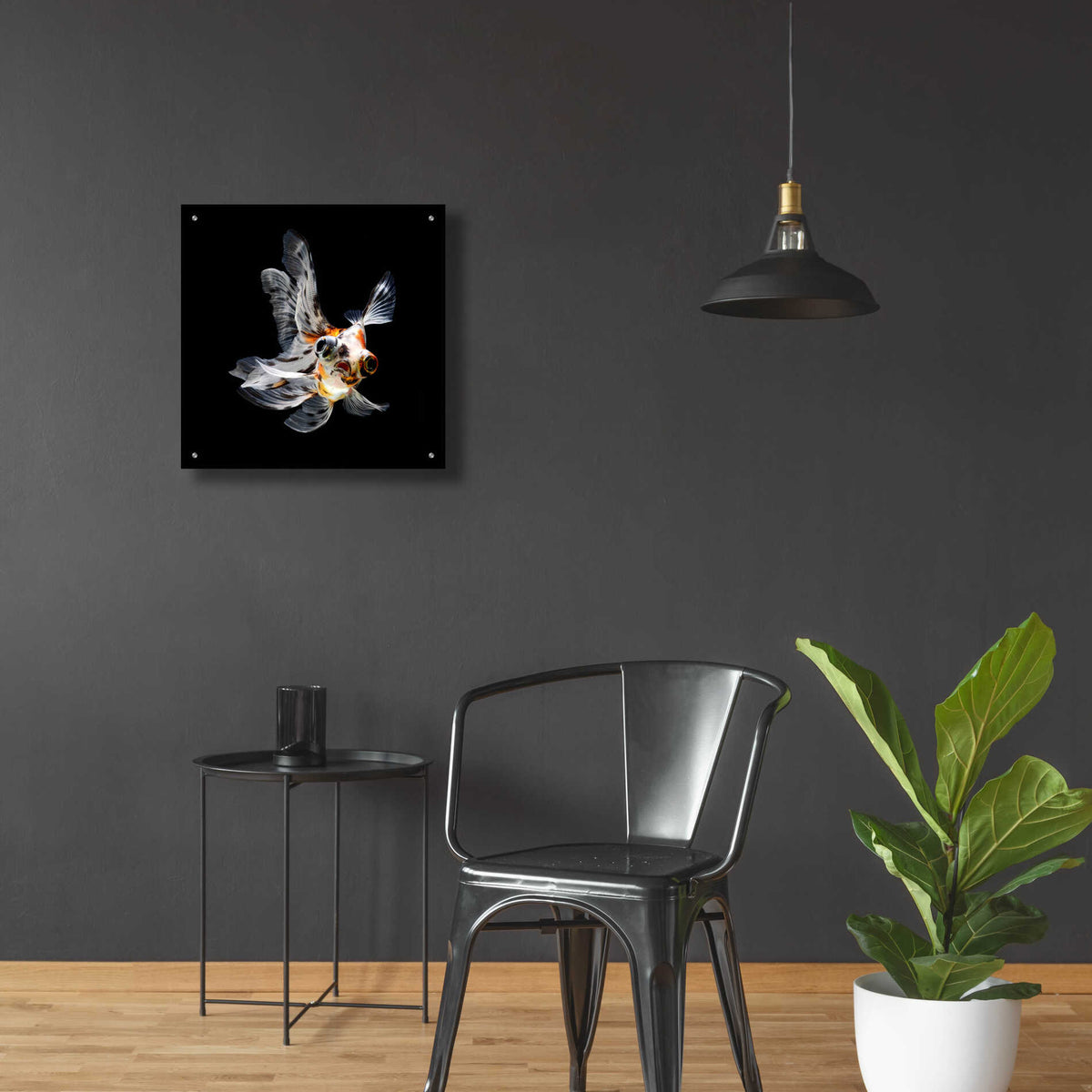 Epic Art 'You Did What' by Epic Portfolio Acrylic Glass Wall Art,24x24