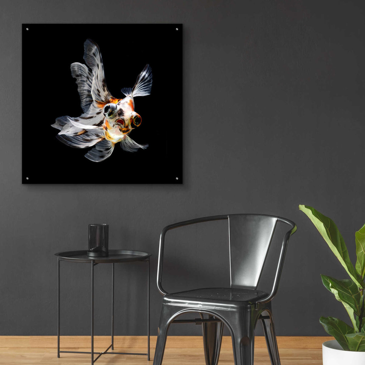 Epic Art 'You Did What' by Epic Portfolio Acrylic Glass Wall Art,36x36