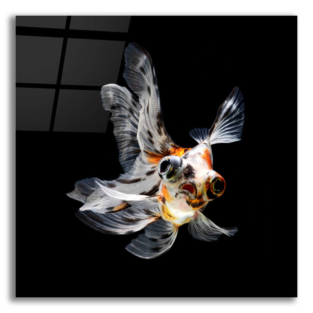 Epic Art 'You Did What' by Epic Portfolio Acrylic Glass Wall Art