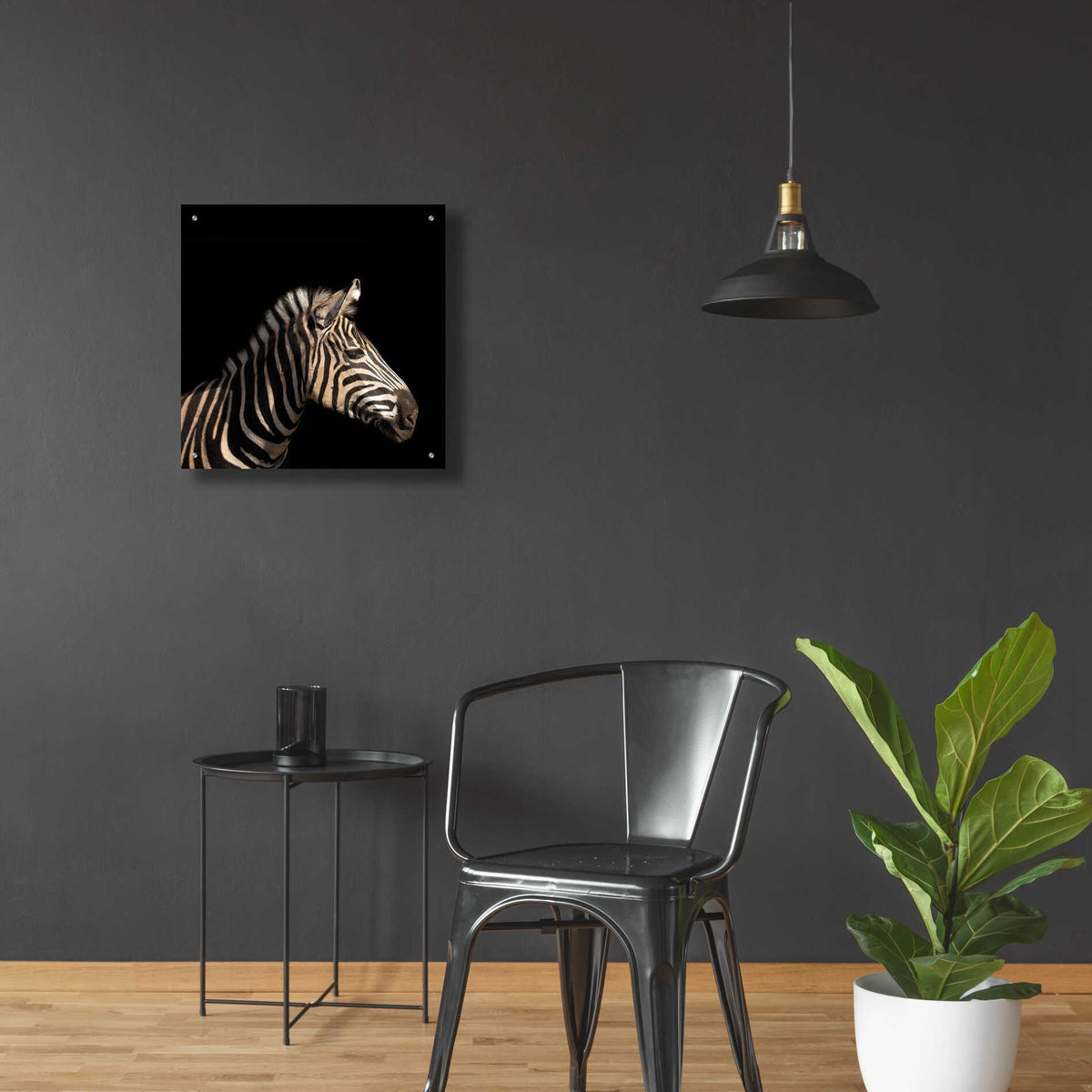 Epic Art 'Zebra' by Epic Portfolio Acrylic Glass Wall Art,24x24