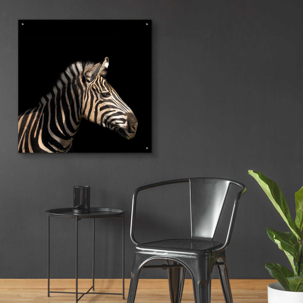 Epic Art 'Zebra' by Epic Portfolio Acrylic Glass Wall Art,36x36