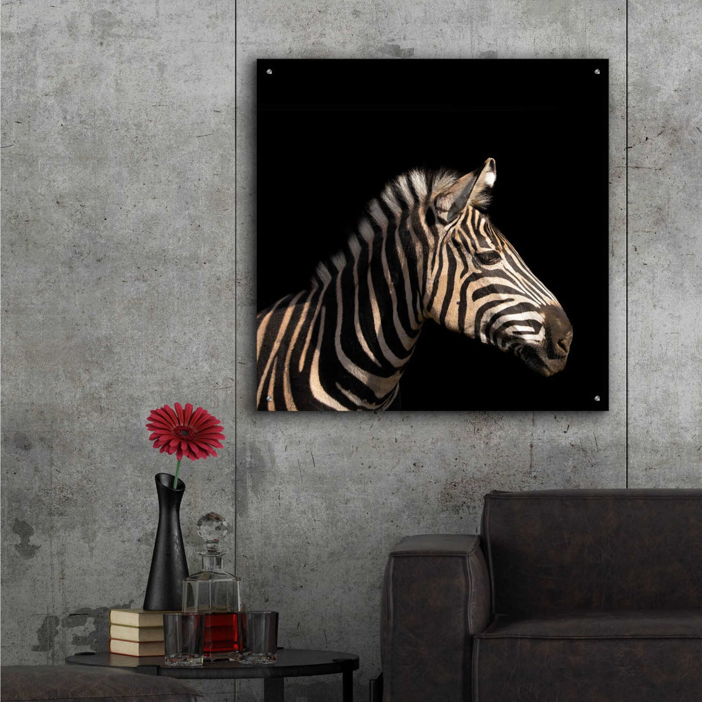 Epic Art 'Zebra' by Epic Portfolio Acrylic Glass Wall Art,36x36