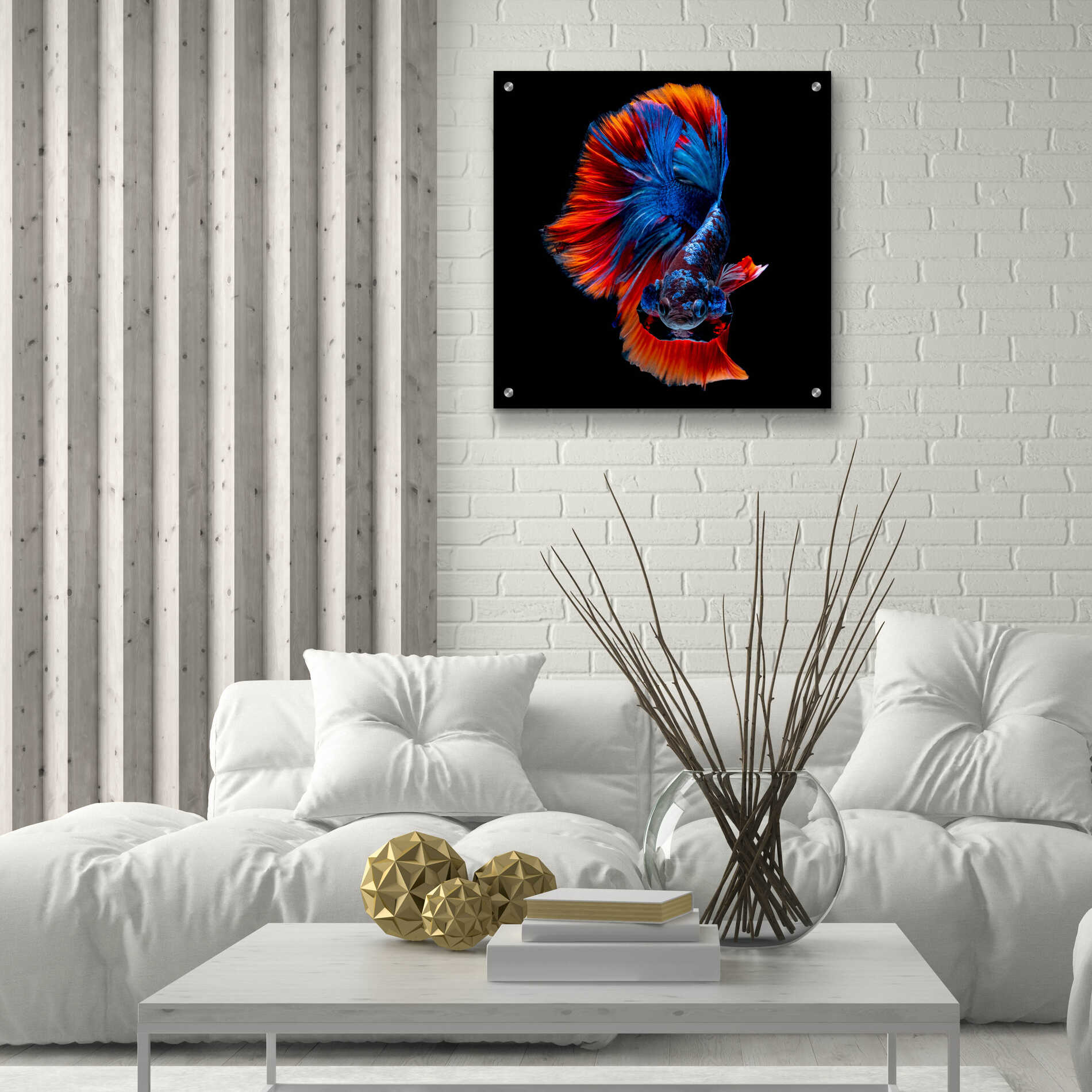 Epic Art 'Flamenco Fighter' by Epic Portfolio, Acrylic Glass Wall Art,24x24
