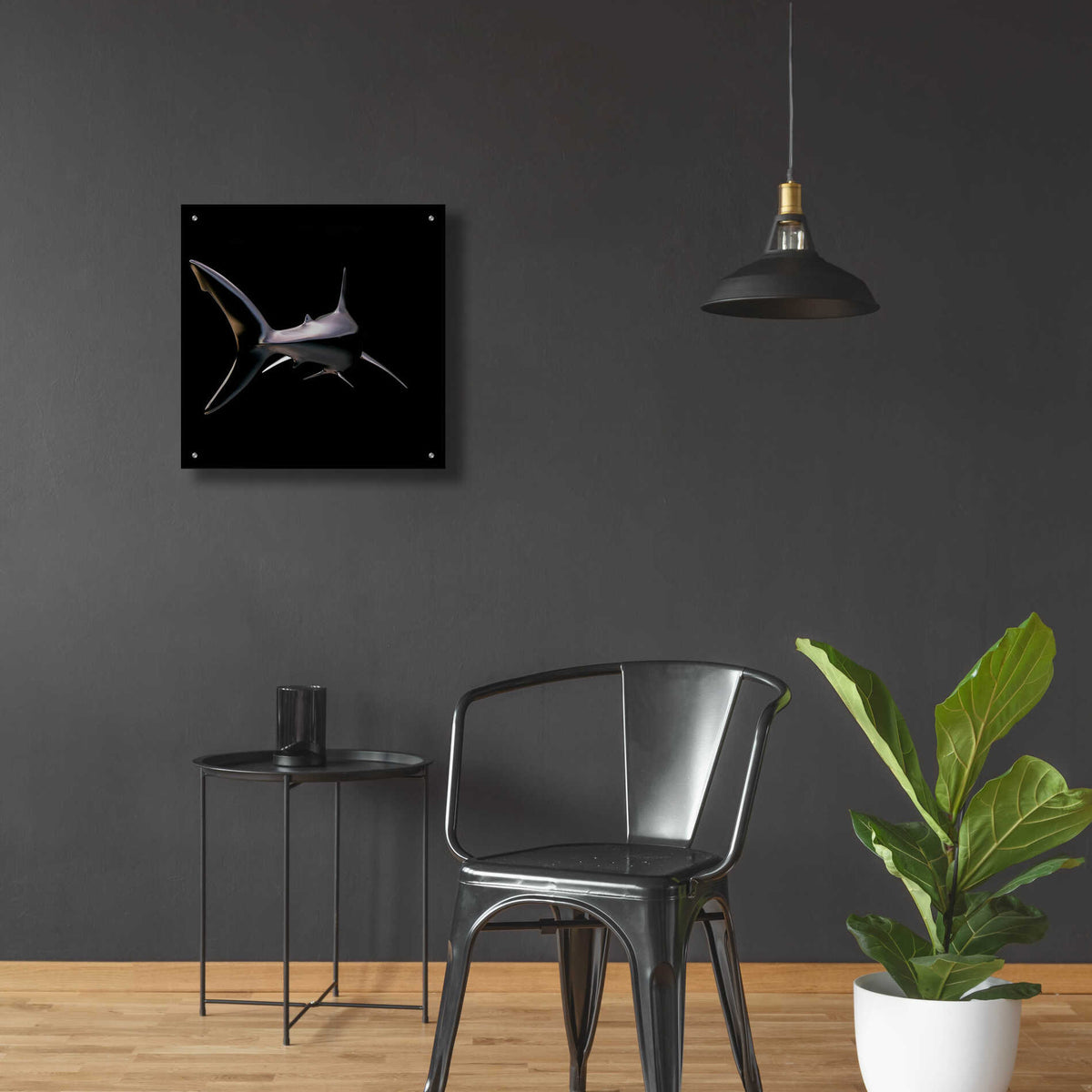 Epic Art 'Jaws' by Epic Portfolio, Acrylic Glass Wall Art,24x24