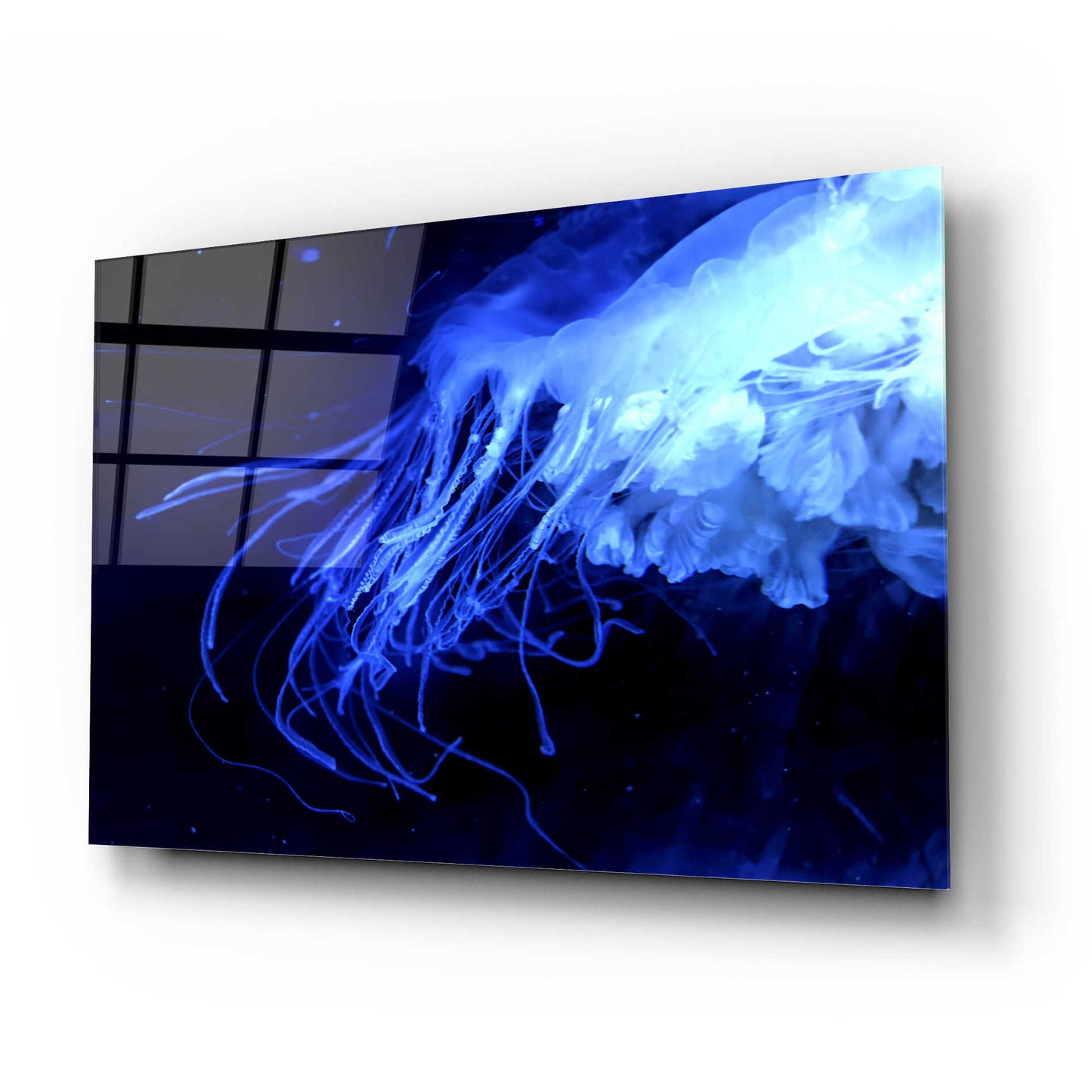 Epic Art 'Preditor' by Epic Portfolio, Acrylic Glass Wall Art,24x16