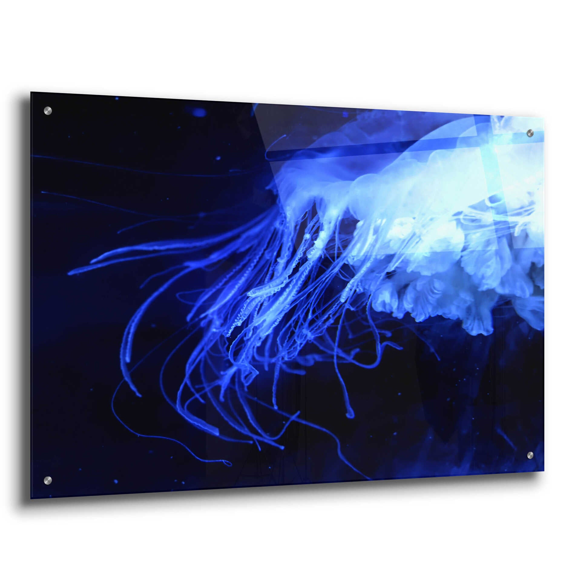 Epic Art 'Preditor' by Epic Portfolio, Acrylic Glass Wall Art,36x24