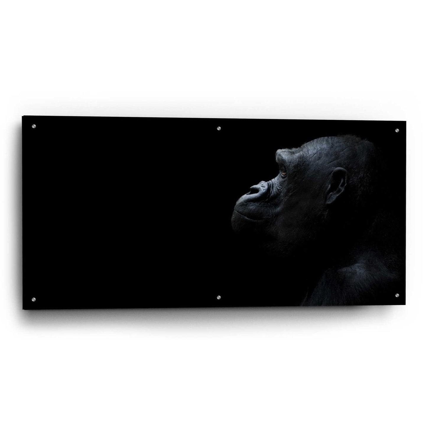 Epic Art 'Thinking Of Bored Apes' by Epic Portfolio, Acrylic Glass Wall Art,48x24