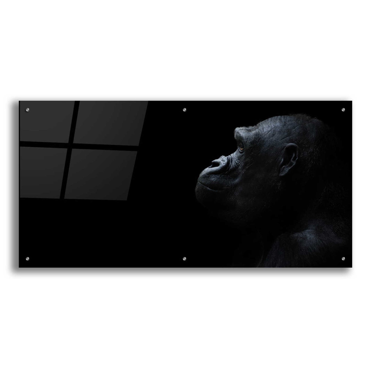 Epic Art 'Thinking Of Bored Apes' by Epic Portfolio, Acrylic Glass Wall Art,48x24