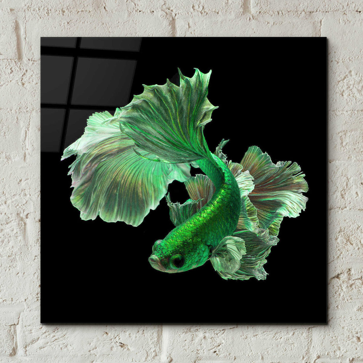 Epic Art 'Emerald Fighter' by Epic Portfolio, Acrylic Glass Wall Art,12x12
