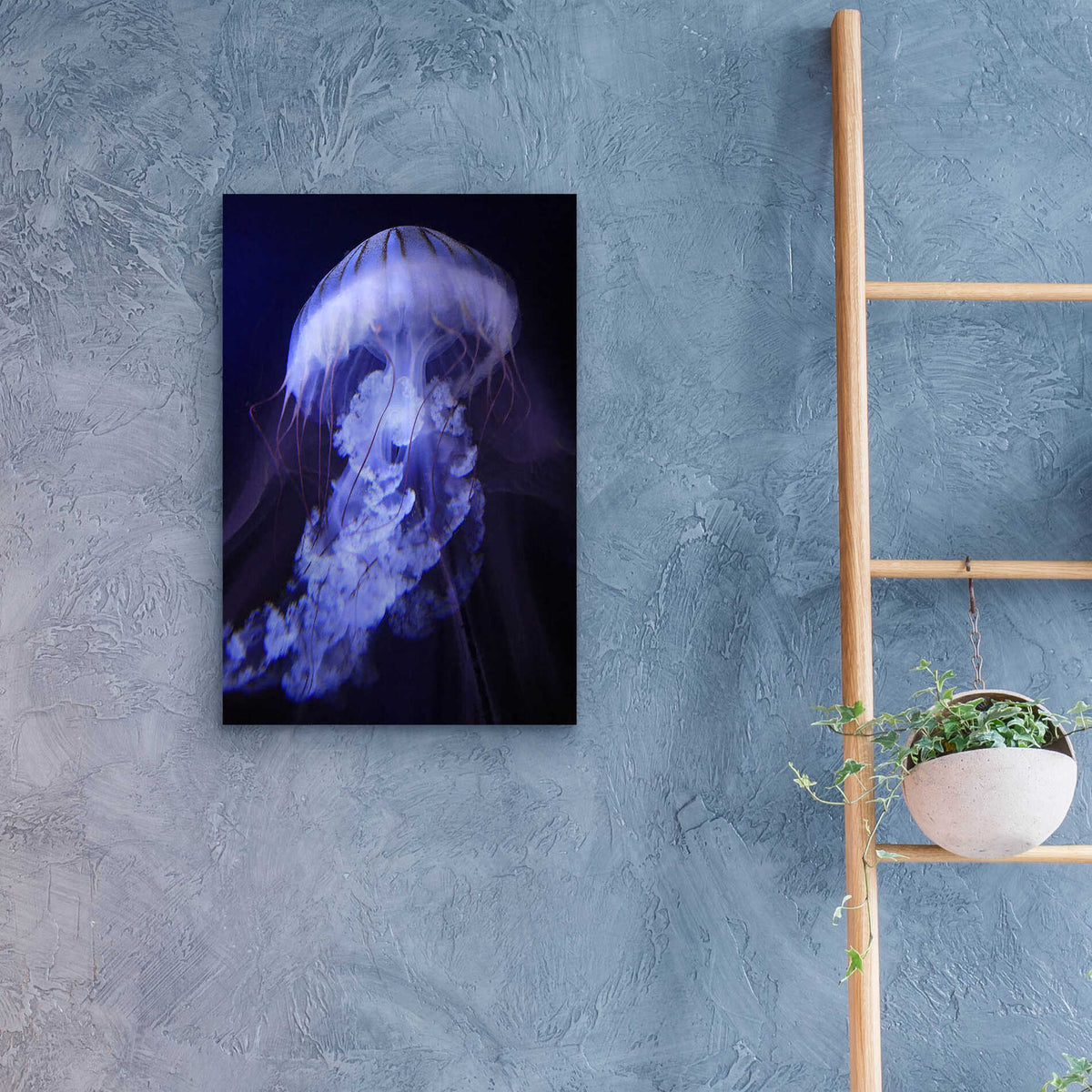 Epic Art 'Gelatinaous, One' by Steve Hunziker, Acrylic Glass Wall Art,16x24