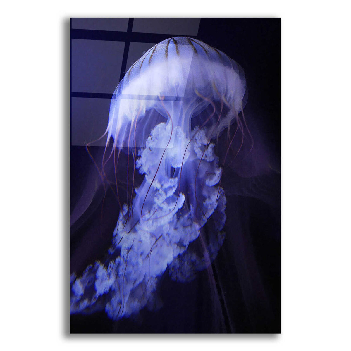 Epic Art 'Gelatinaous, One' by Steve Hunziker, Acrylic Glass Wall Art