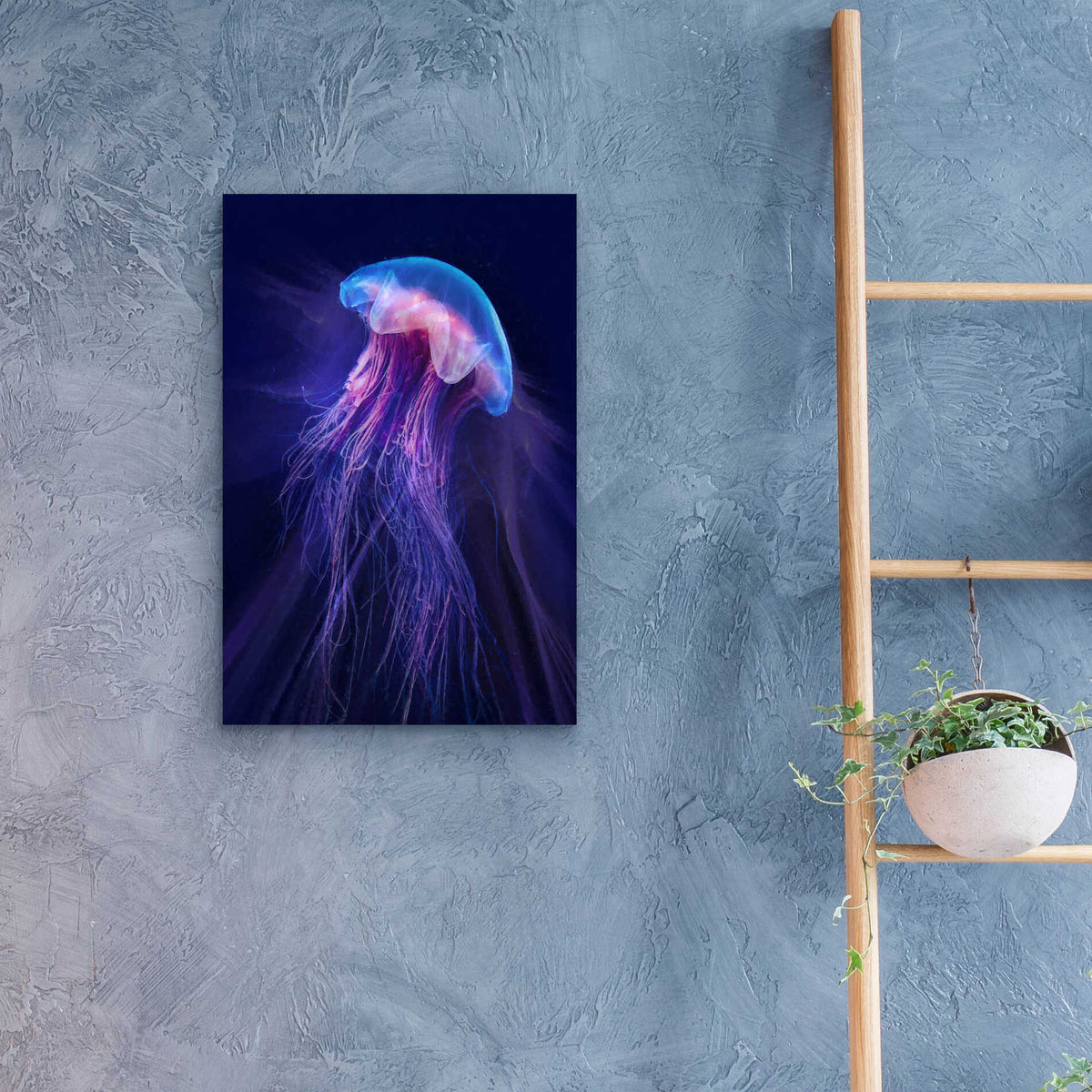 Epic Art 'Gelatinaous, Two' by Steve Hunziker, Acrylic Glass Wall Art,16x24