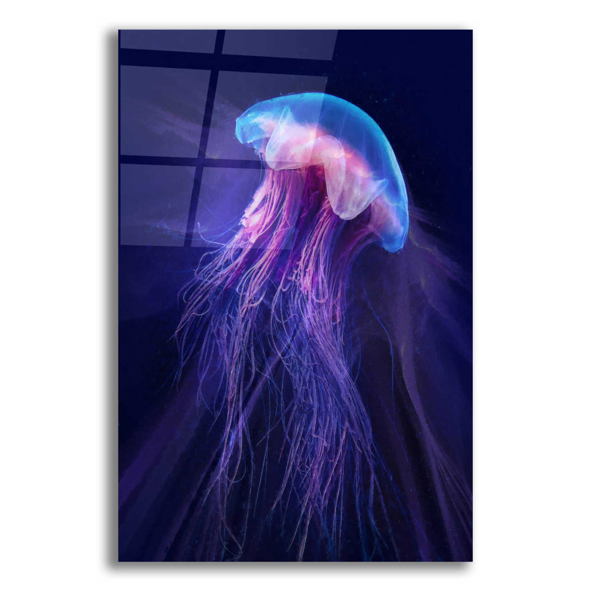 Epic Art 'Gelatinaous, Two' by Steve Hunziker, Acrylic Glass Wall Art