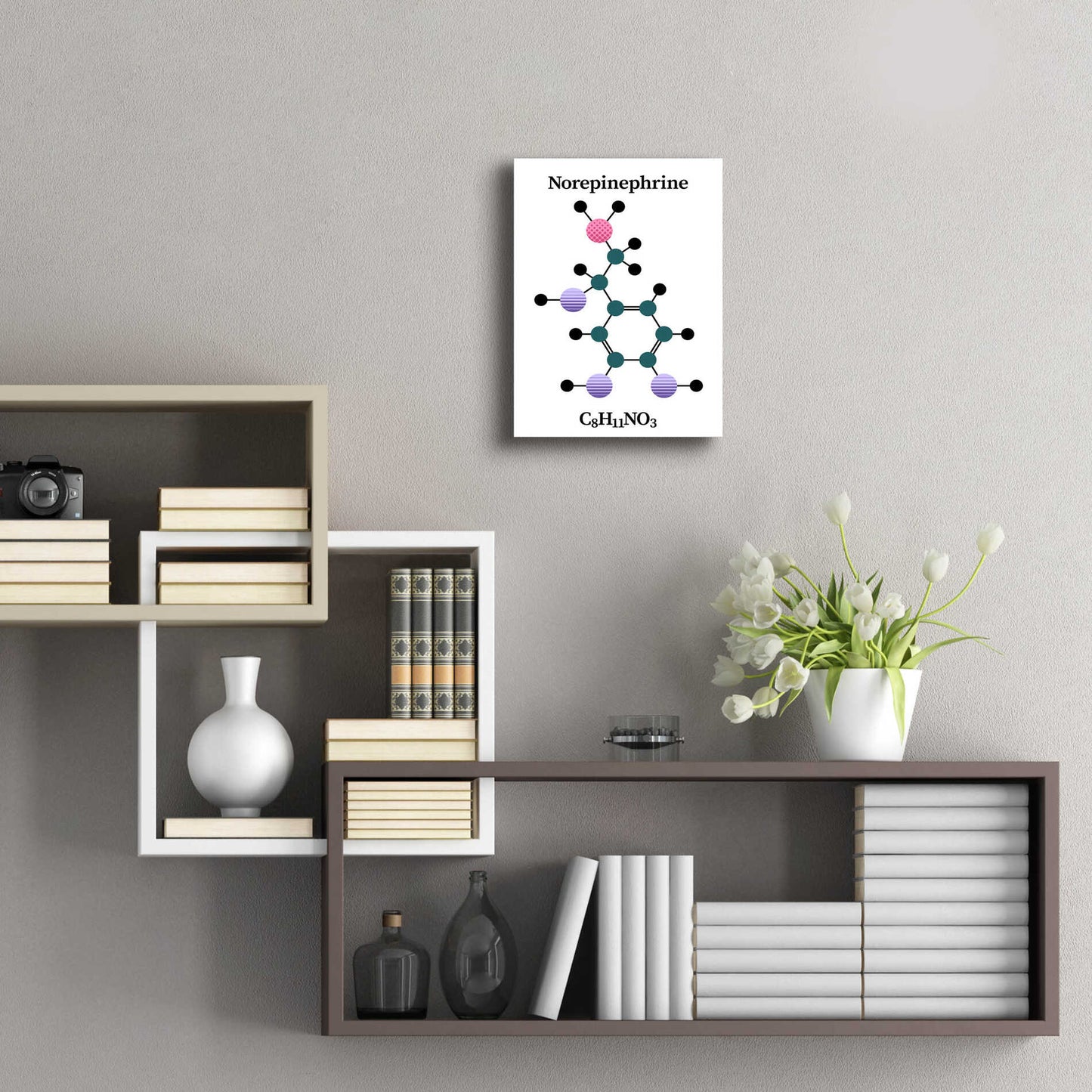 Epic Art 'Norepinephrine Molecule' by Epic Portfolio, Acrylic Glass Wall Art,12x16