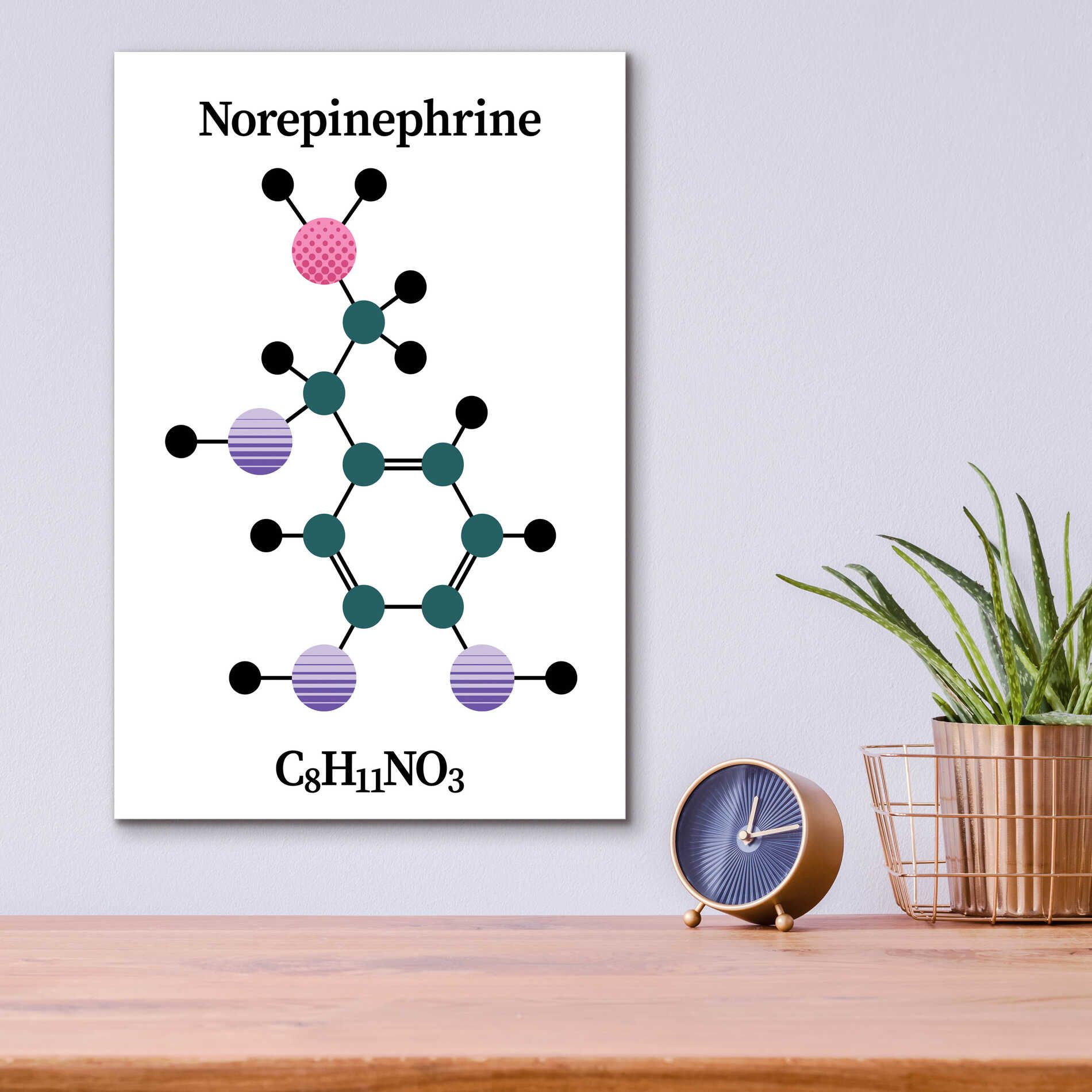 Epic Art 'Norepinephrine Molecule' by Epic Portfolio, Acrylic Glass Wall Art,12x16