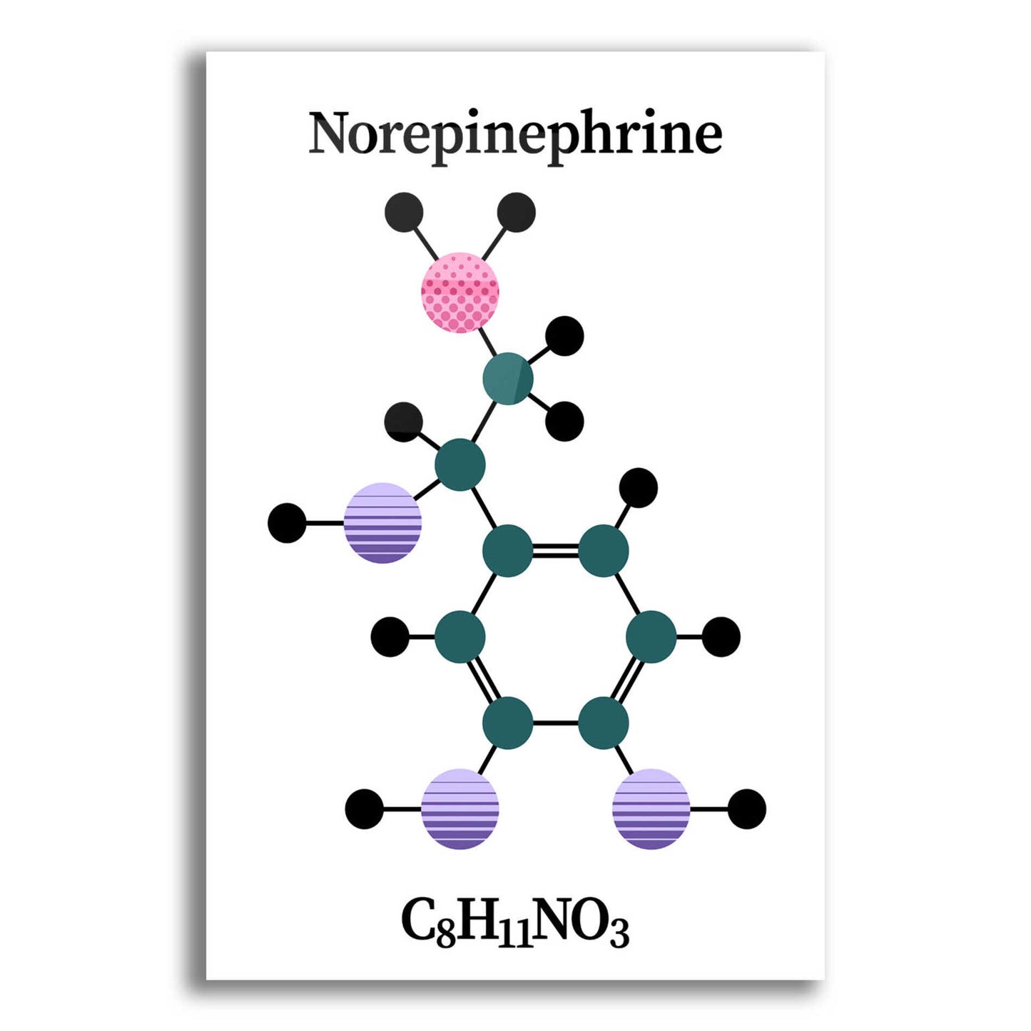 Epic Art 'Norepinephrine Molecule' by Epic Portfolio, Acrylic Glass Wall Art,12x16