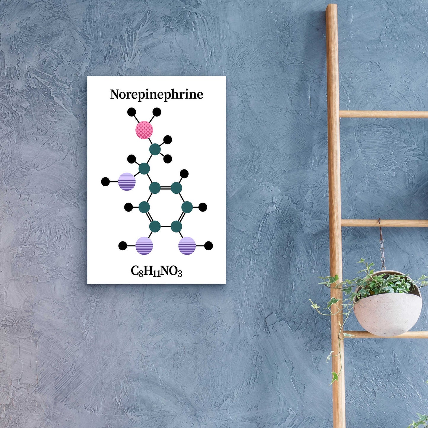 Epic Art 'Norepinephrine Molecule' by Epic Portfolio, Acrylic Glass Wall Art,16x24