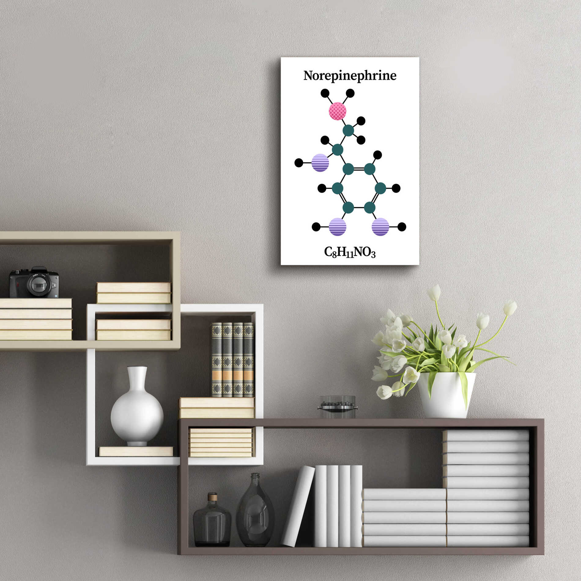 Epic Art 'Norepinephrine Molecule' by Epic Portfolio, Acrylic Glass Wall Art,16x24