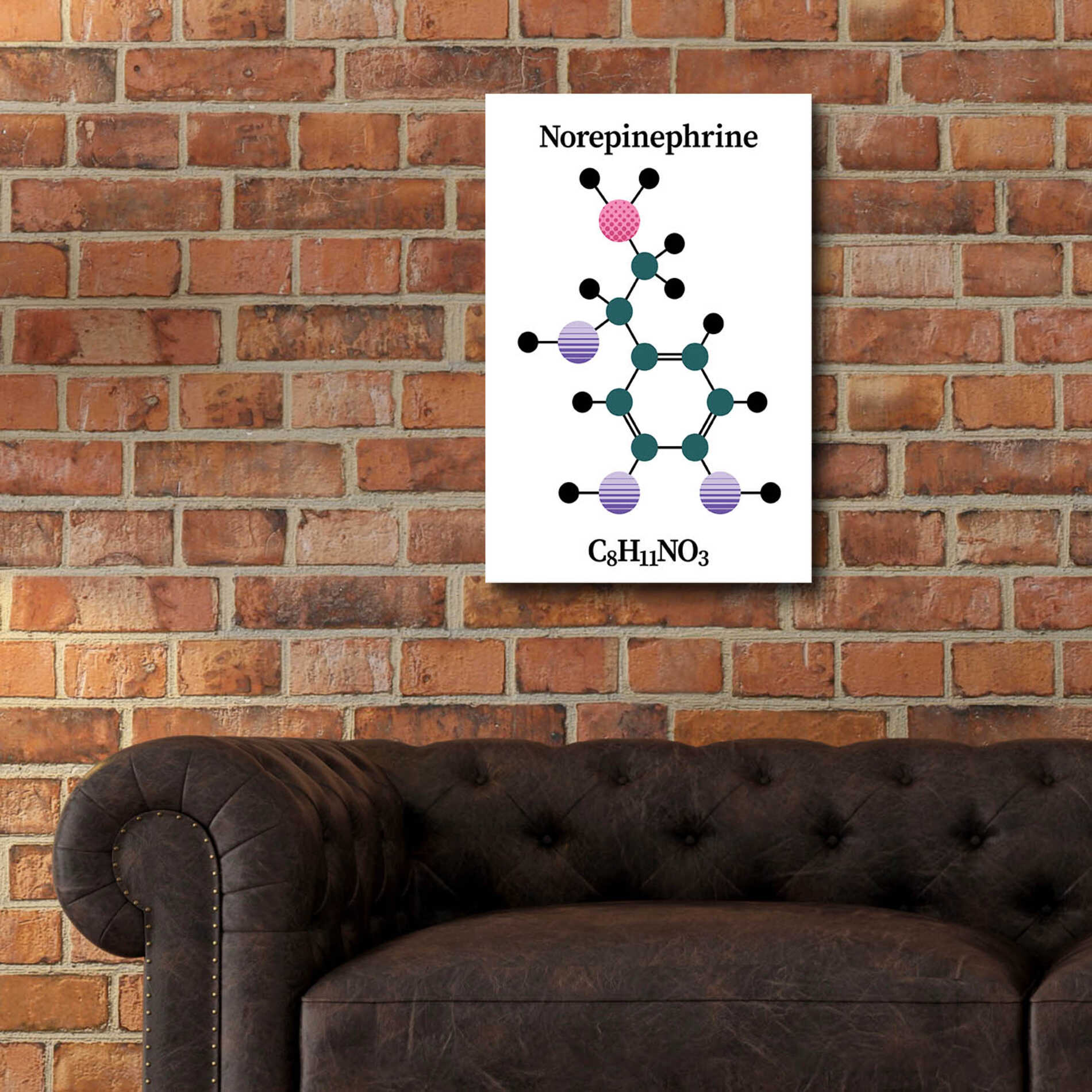 Epic Art 'Norepinephrine Molecule' by Epic Portfolio, Acrylic Glass Wall Art,16x24