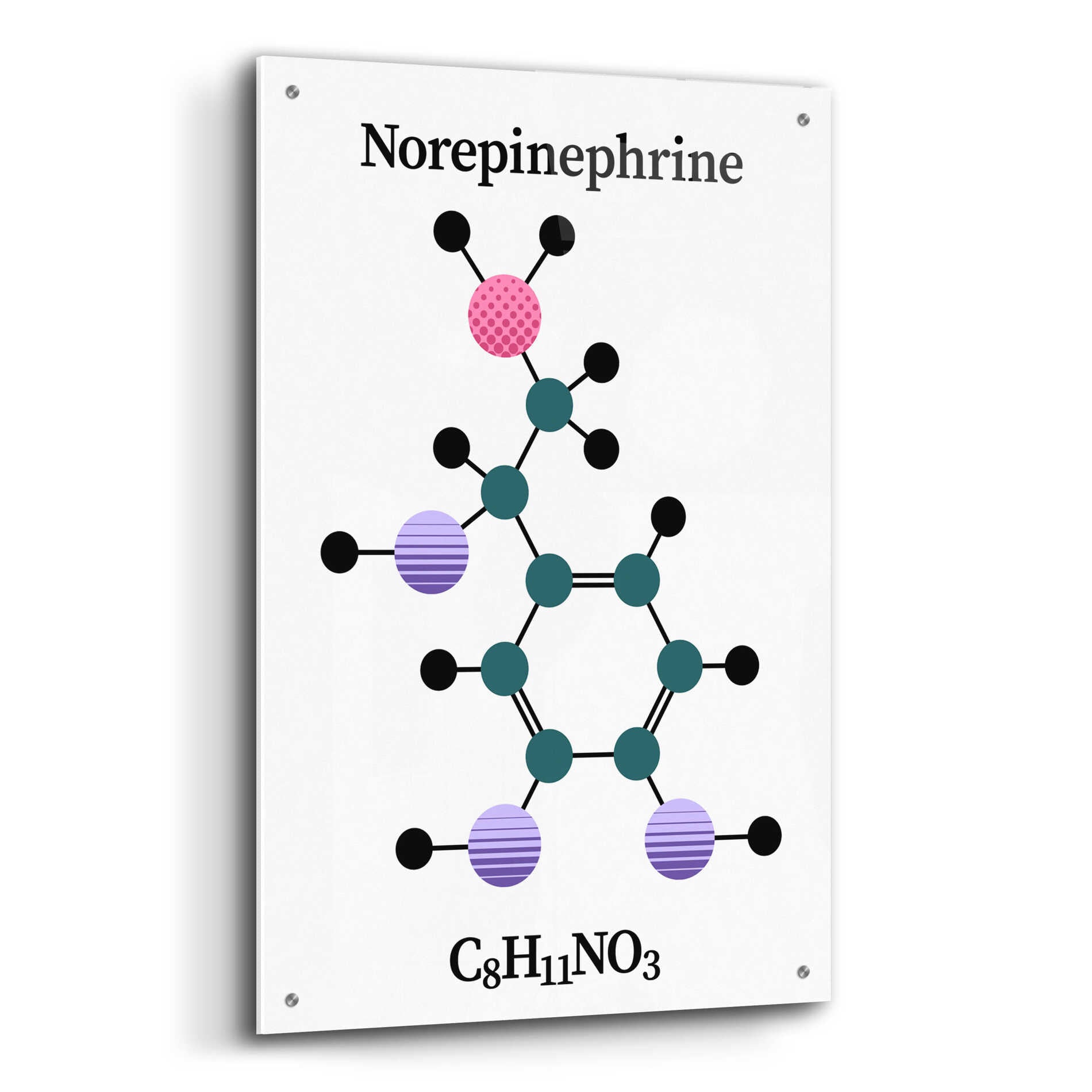 Epic Art 'Norepinephrine Molecule' by Epic Portfolio, Acrylic Glass Wall Art,24x36