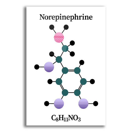 Epic Art 'Norepinephrine Molecule' by Epic Portfolio, Acrylic Glass Wall Art
