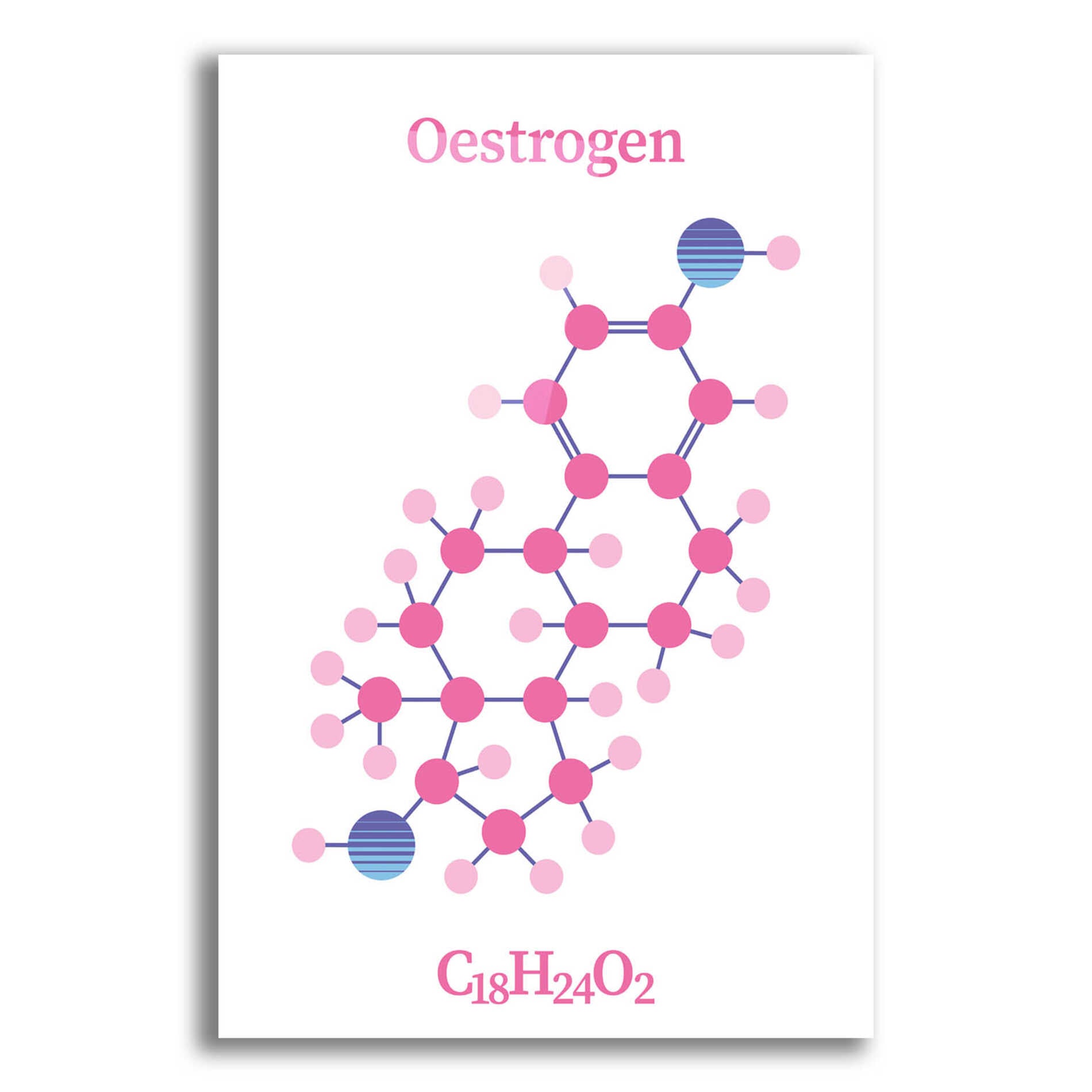Epic Art 'Oestrogen Molecule' by Epic Portfolio, Acrylic Glass Wall Art,12x16