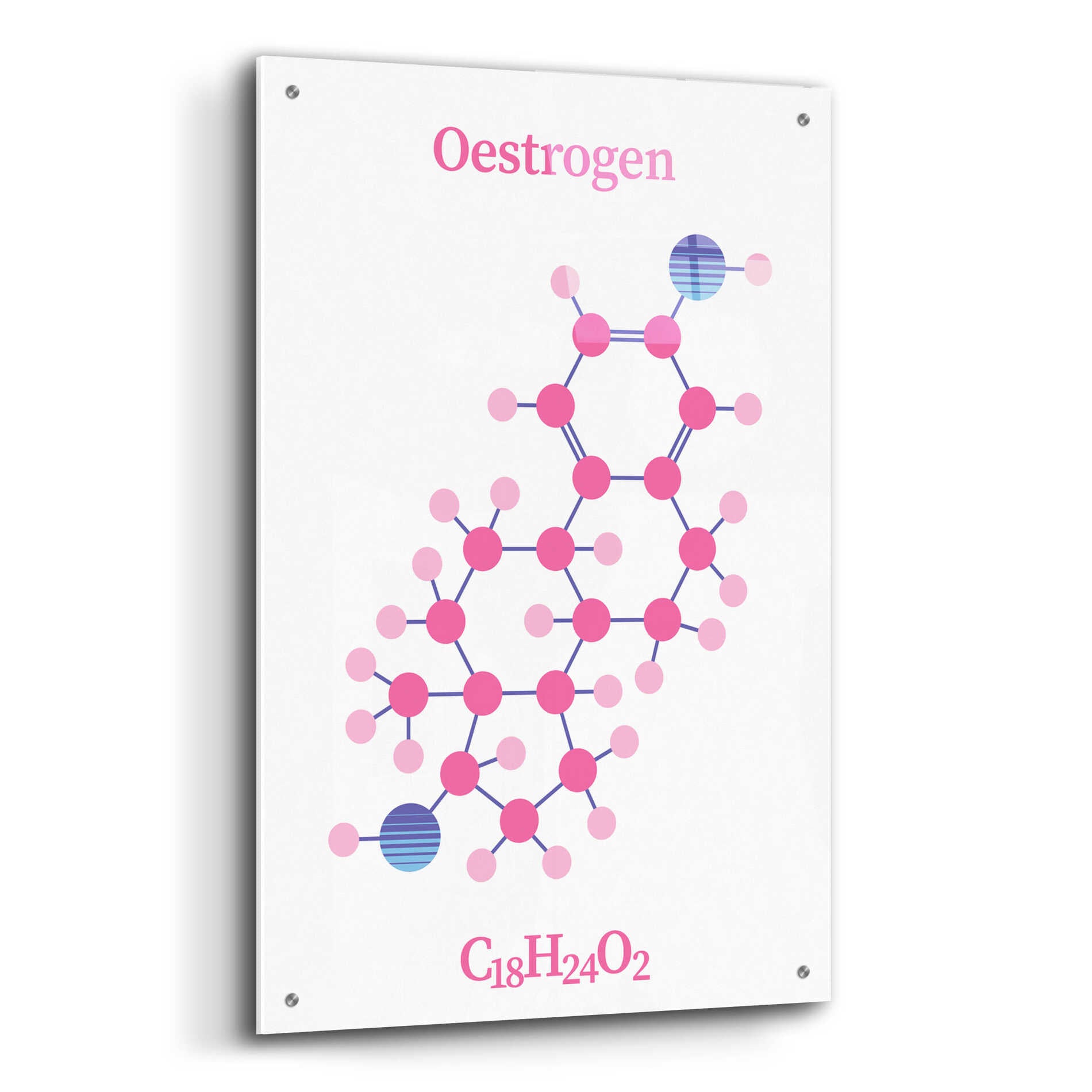 Epic Art 'Oestrogen Molecule' by Epic Portfolio, Acrylic Glass Wall Art,24x36