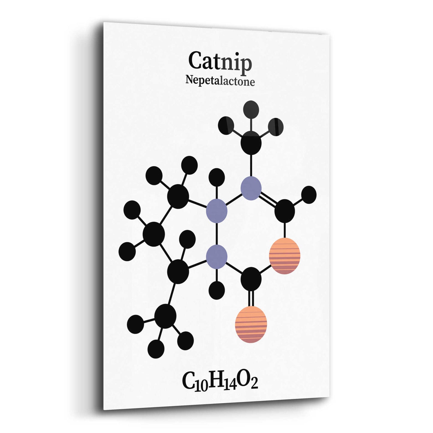 Epic Art 'Catnip Molecule' by Epic Portfolio, Acrylic Glass Wall Art,12x16