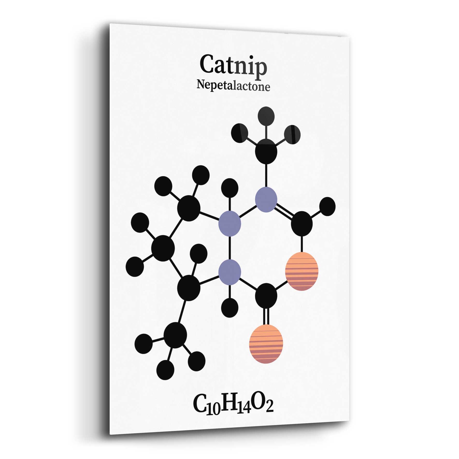 Epic Art 'Catnip Molecule' by Epic Portfolio, Acrylic Glass Wall Art,12x16